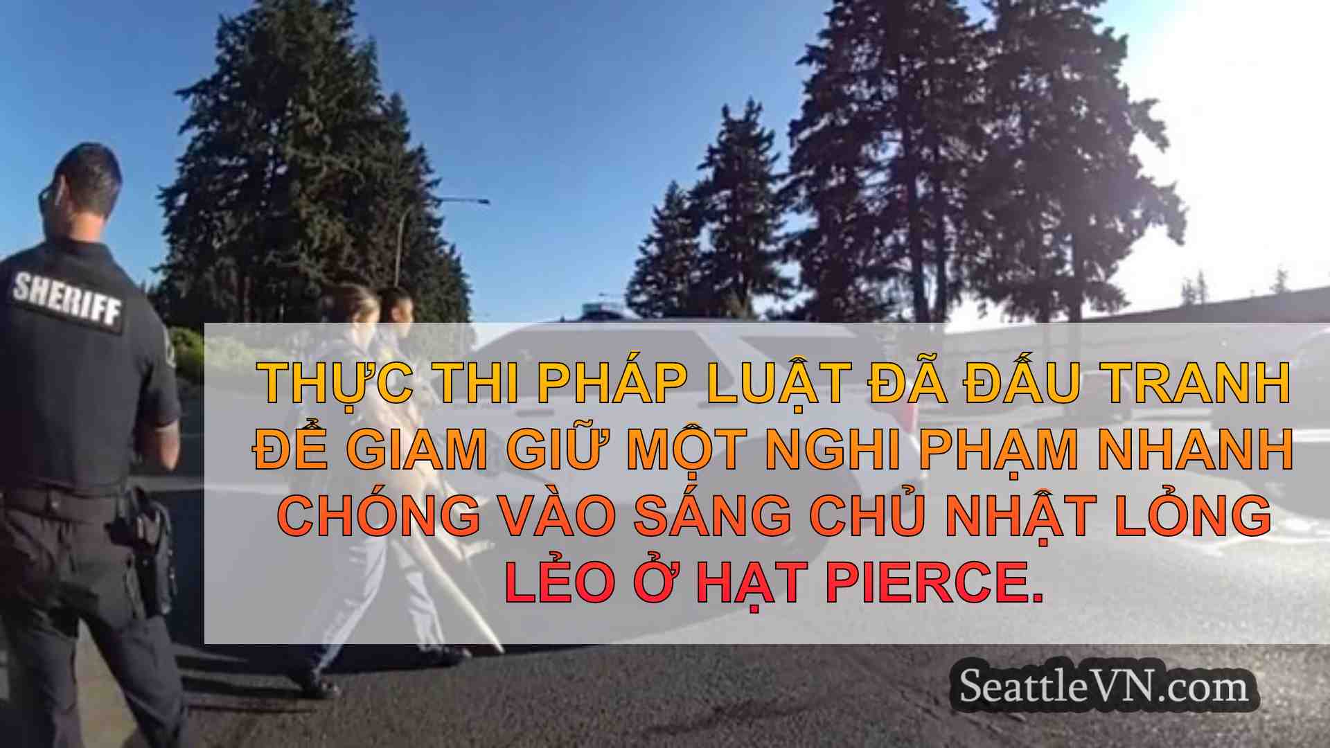 tin tức seattle SeattleVN