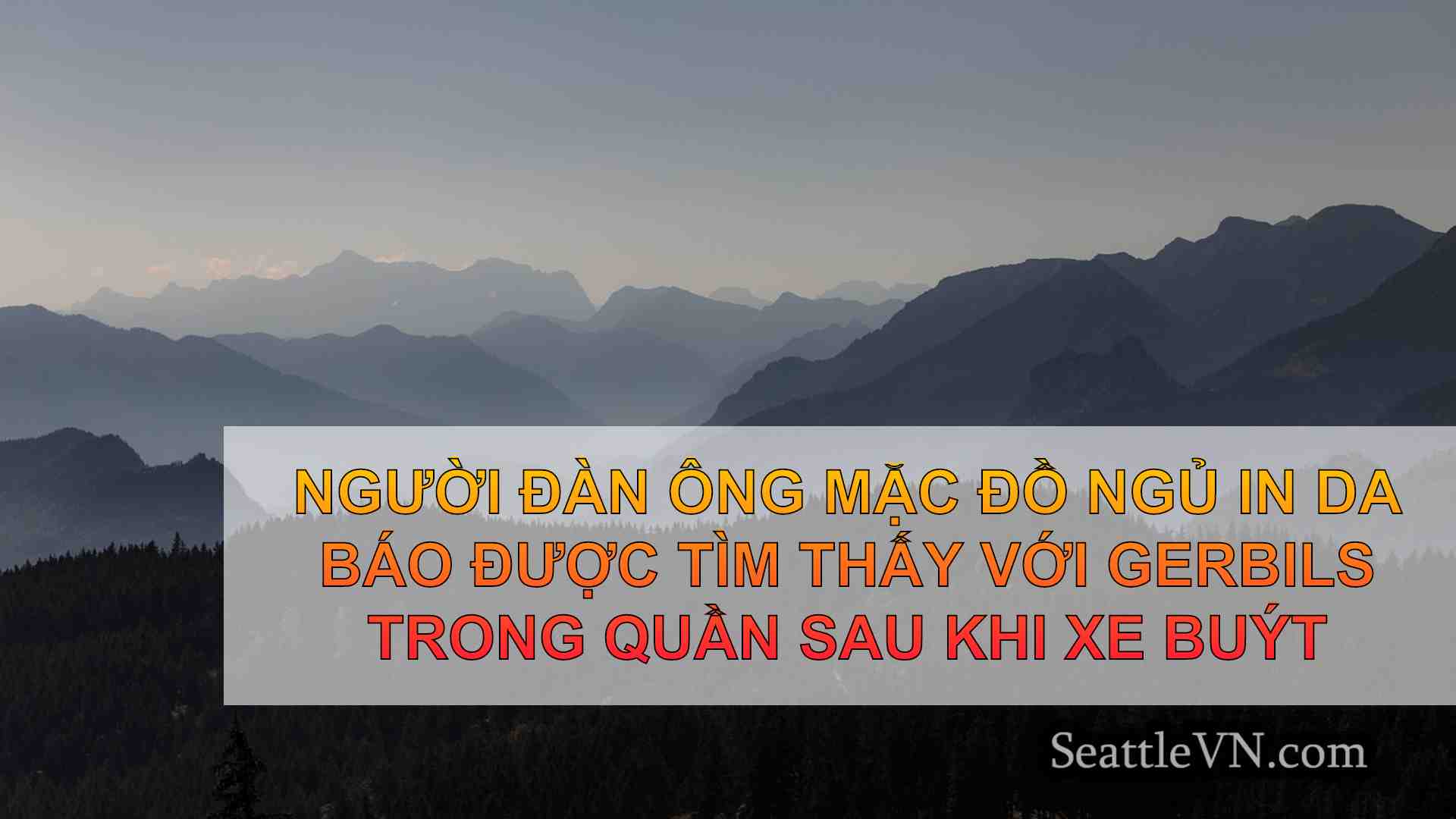 tin tức seattle SeattleVN