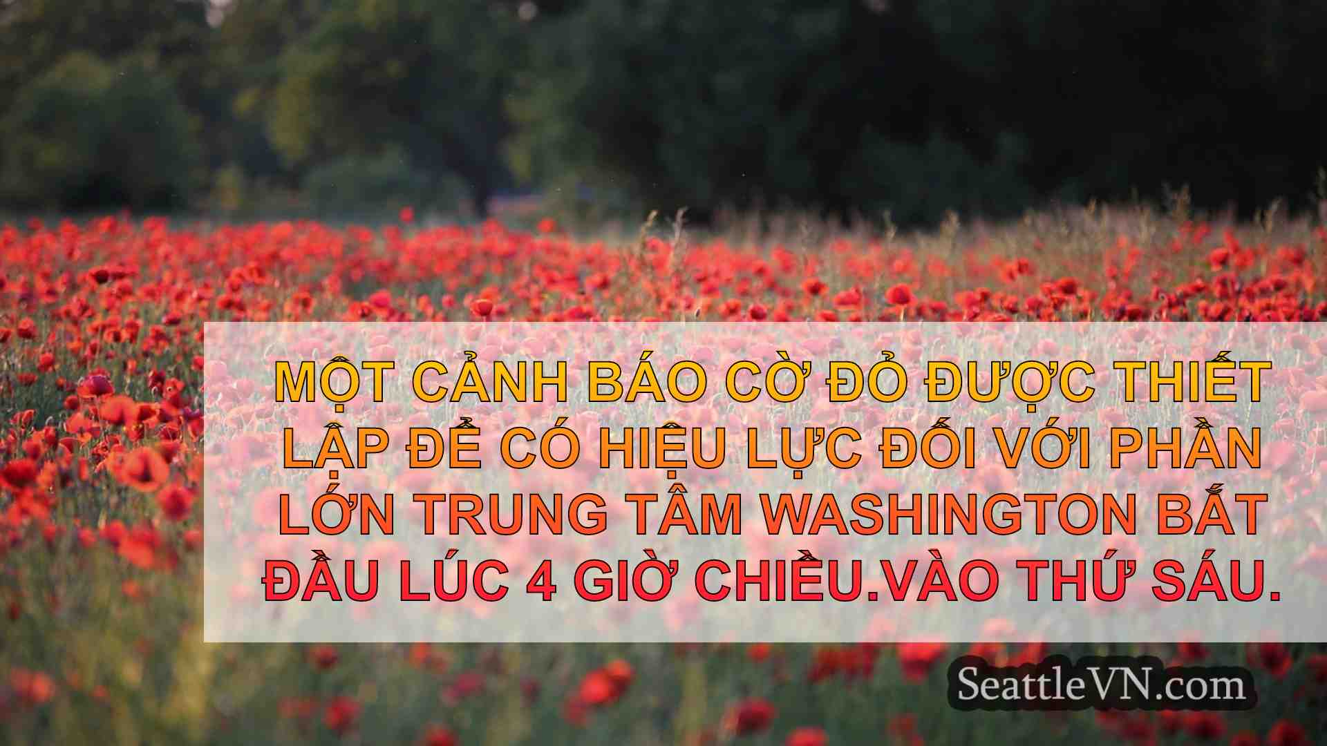 tin tức seattle SeattleVN