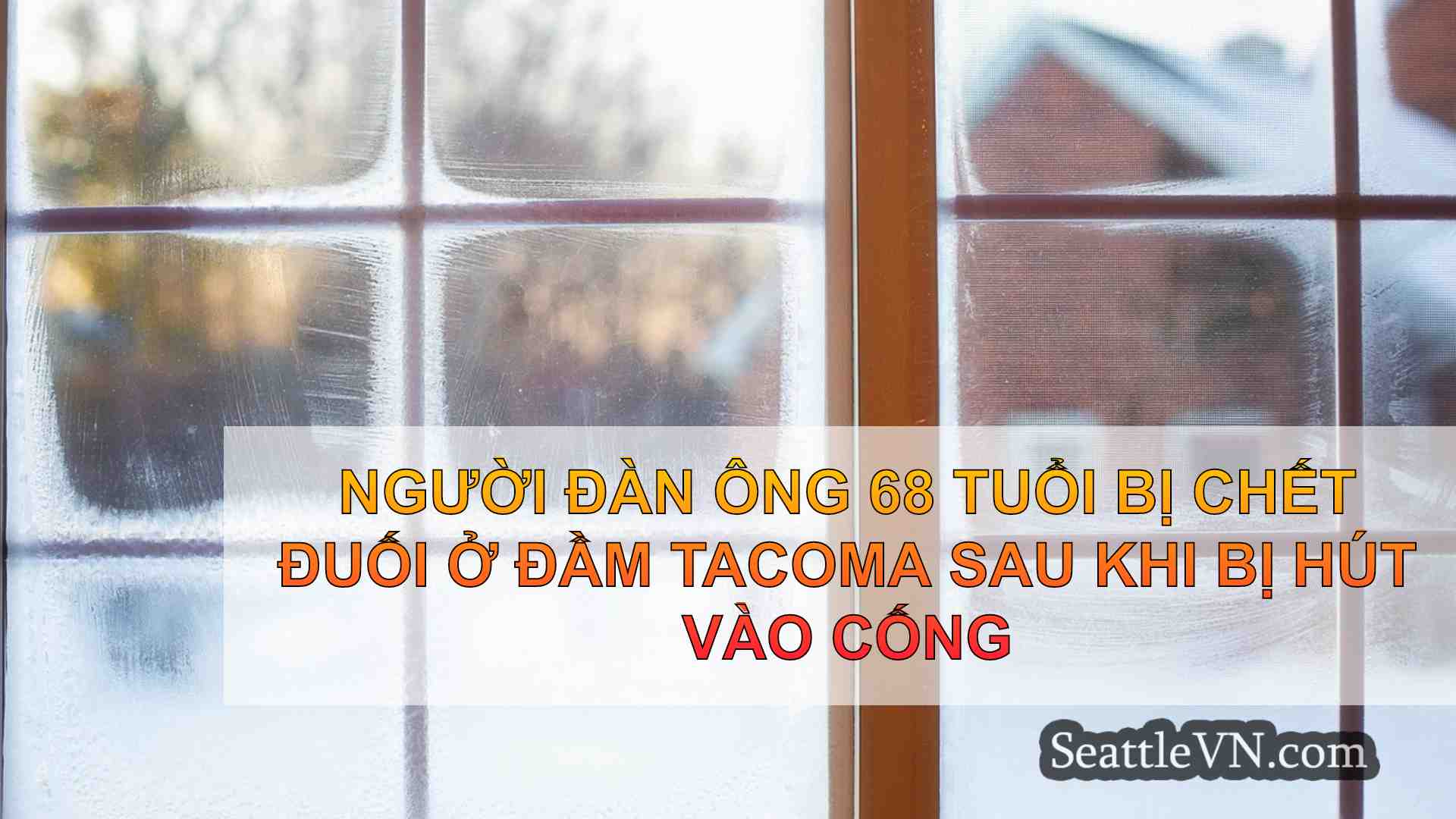 tin tức seattle SeattleVN