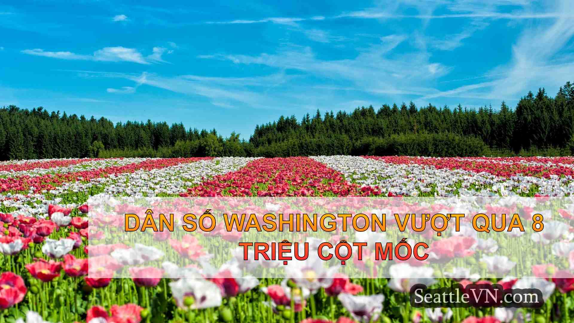 tin tức seattle SeattleVN