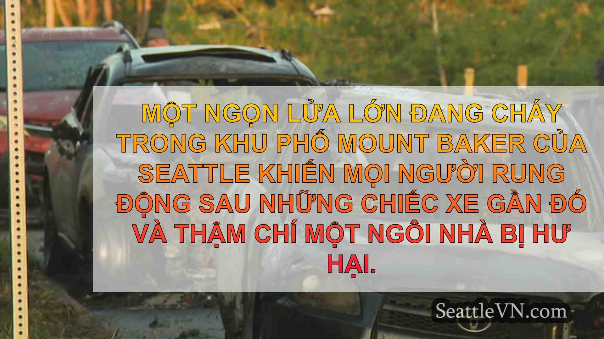 tin tức seattle SeattleVN