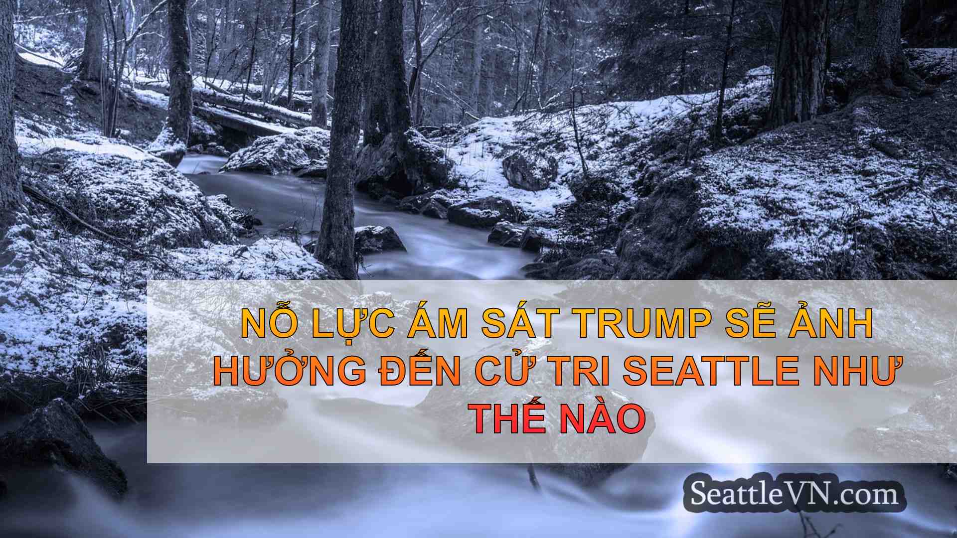 tin tức seattle SeattleVN