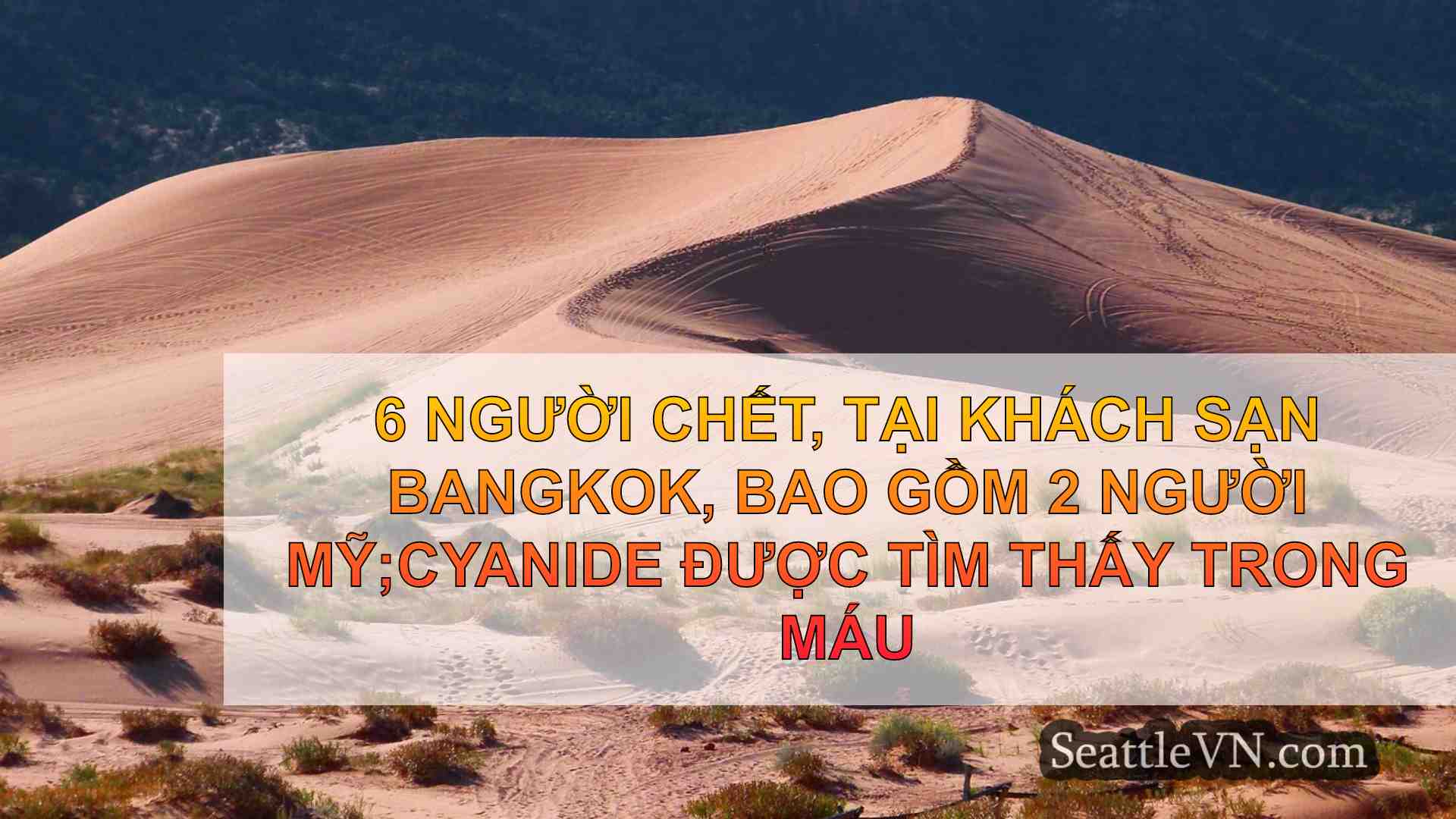 tin tức seattle SeattleVN