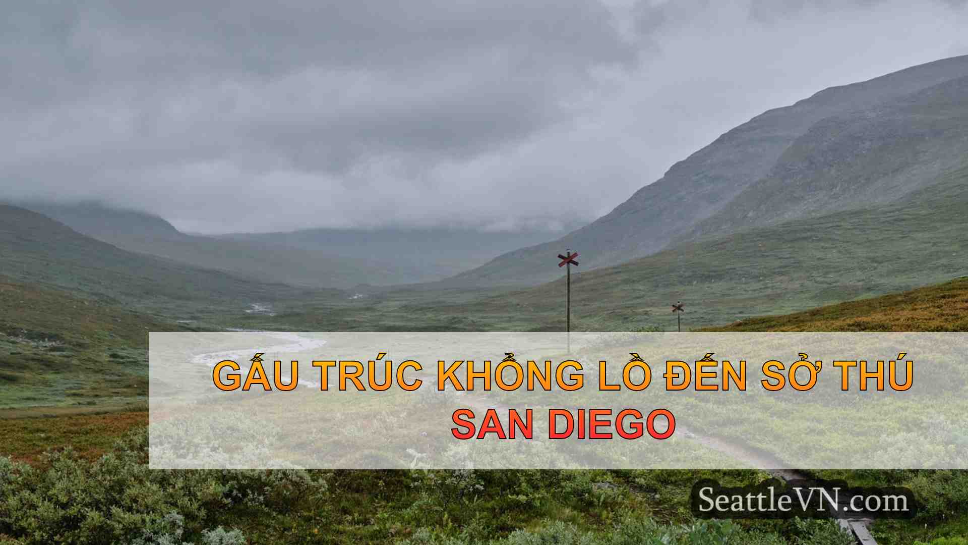 tin tức seattle SeattleVN