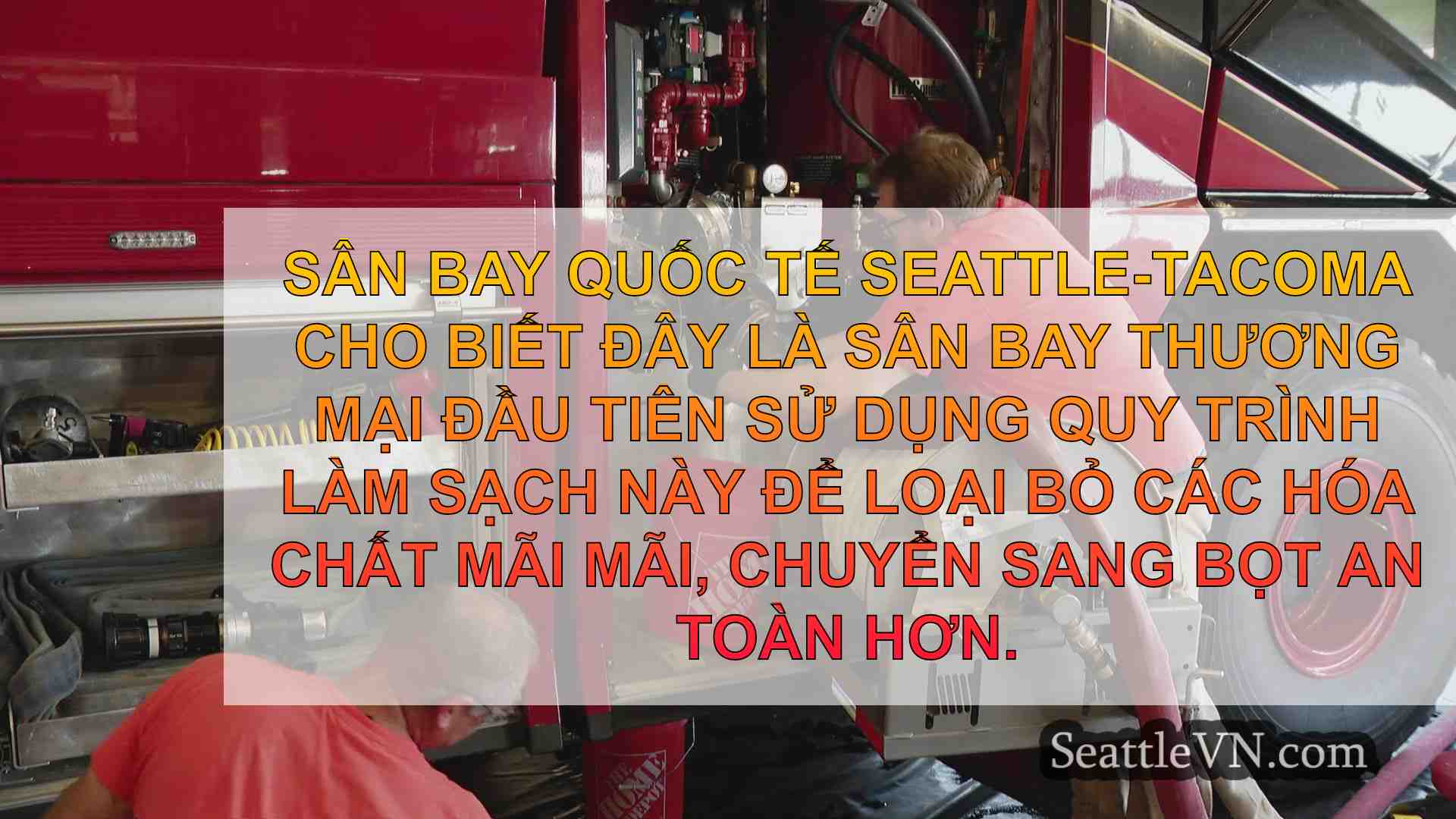 Cảng Seattle có hành động để loại bỏ