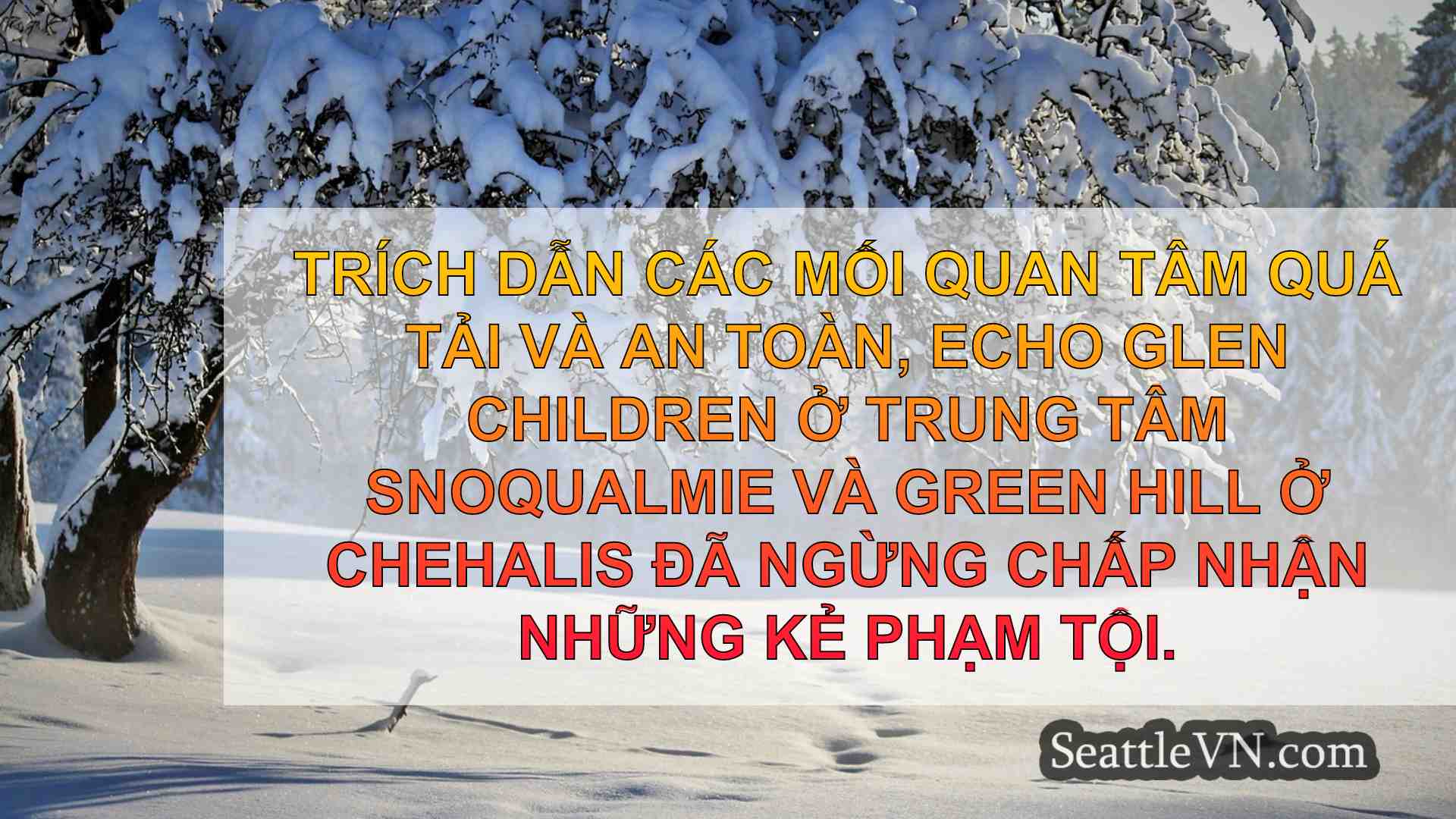 tin tức seattle SeattleVN