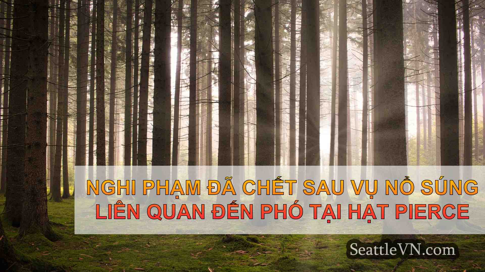 tin tức seattle SeattleVN