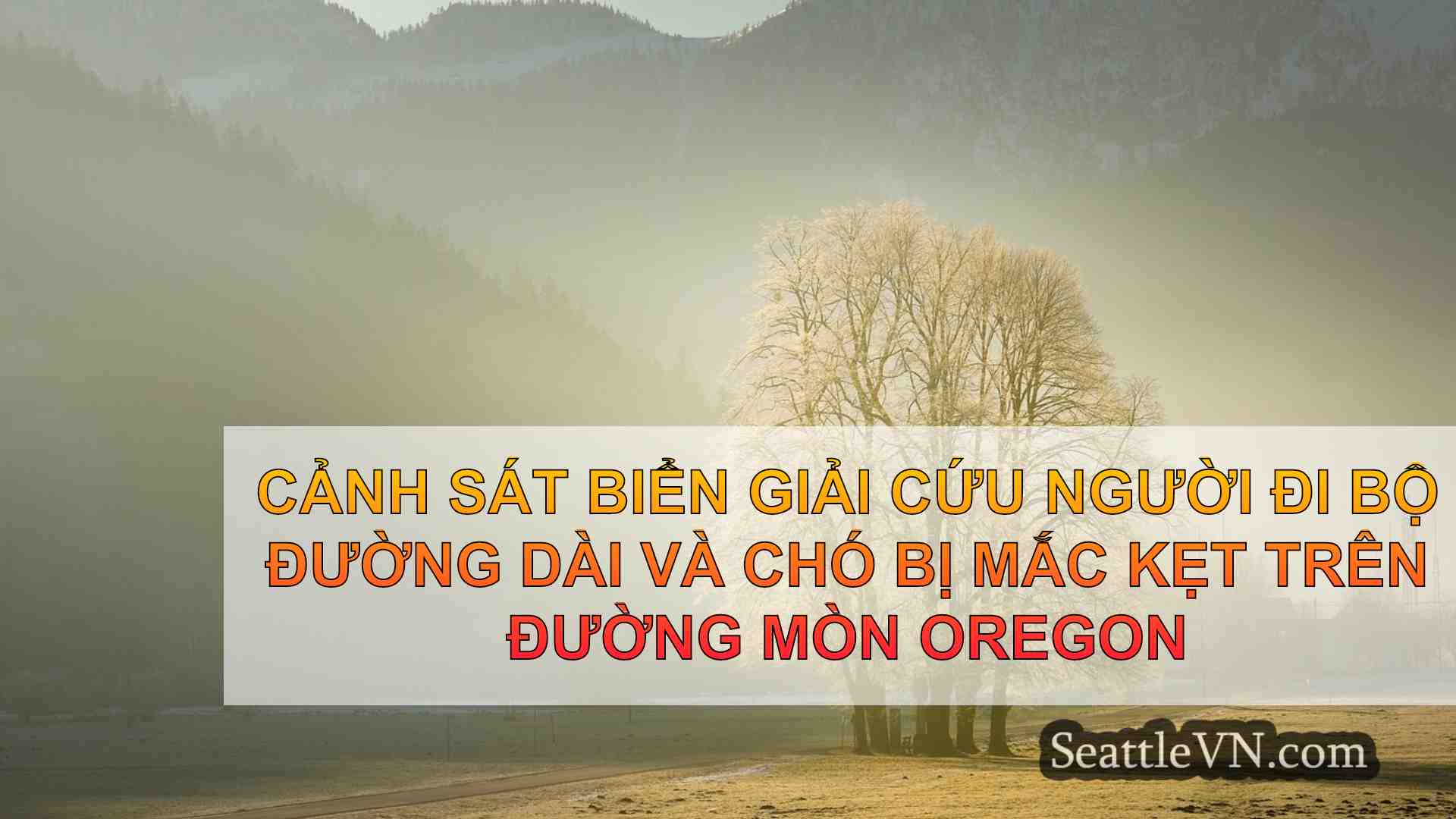 Cảnh sát biển giải cứu người đi bộ