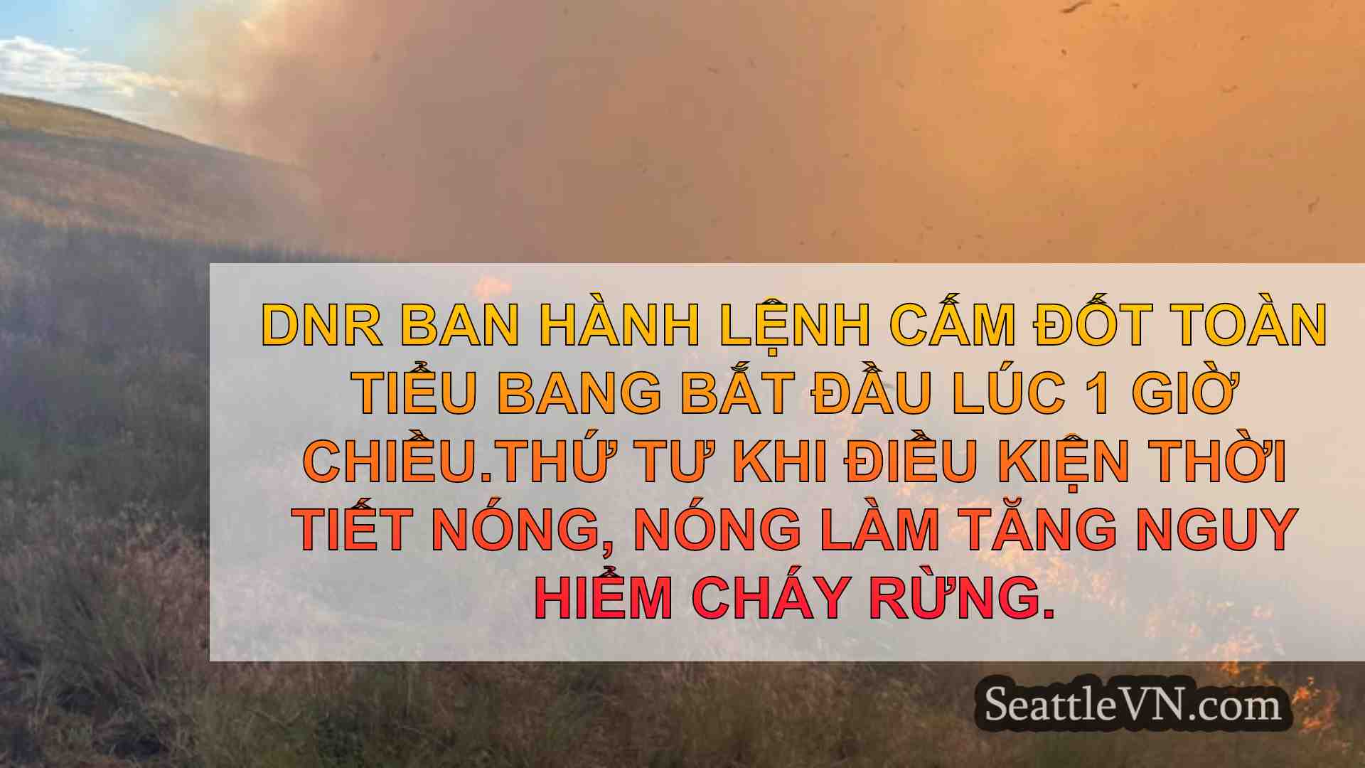 tin tức seattle SeattleVN