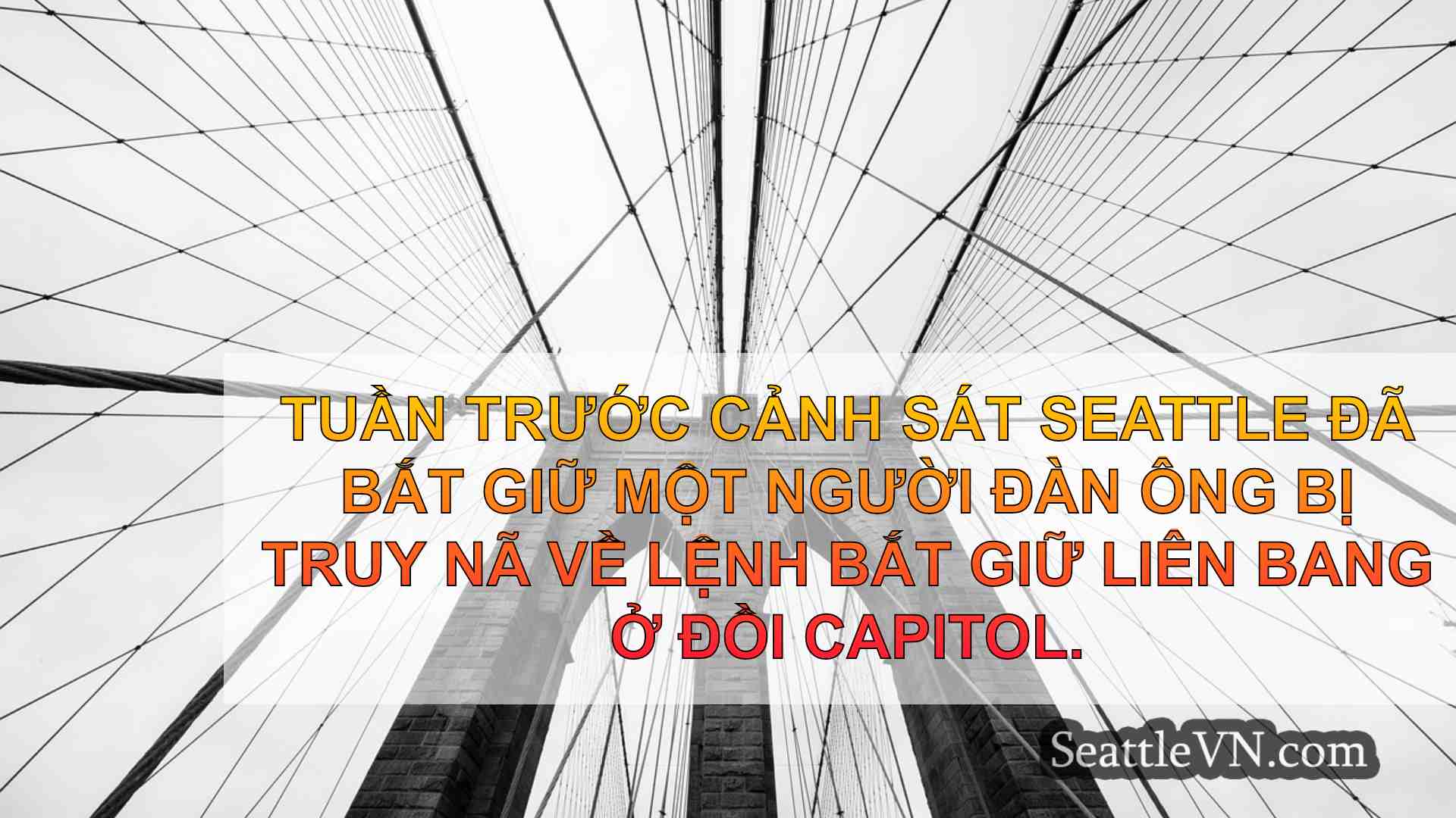 tin tức seattle SeattleVN