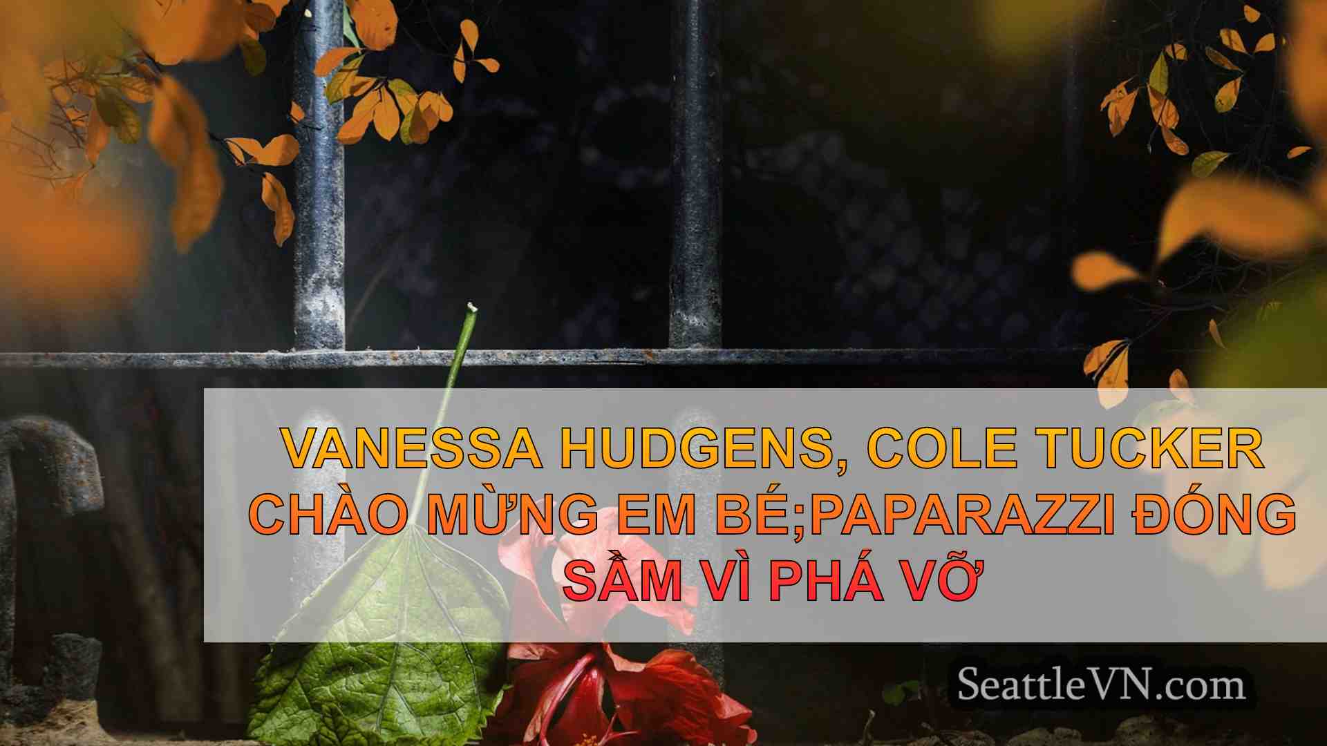tin tức seattle SeattleVN