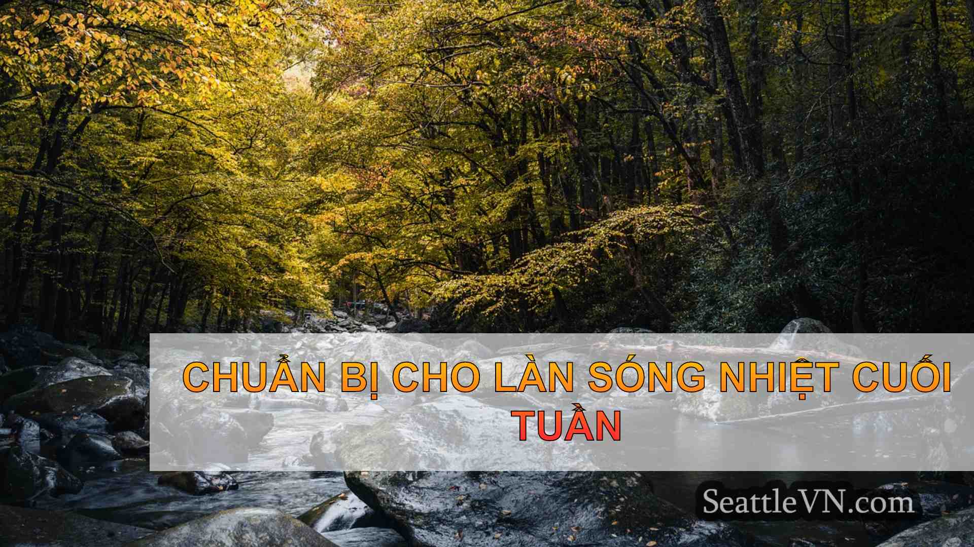 tin tức seattle SeattleVN