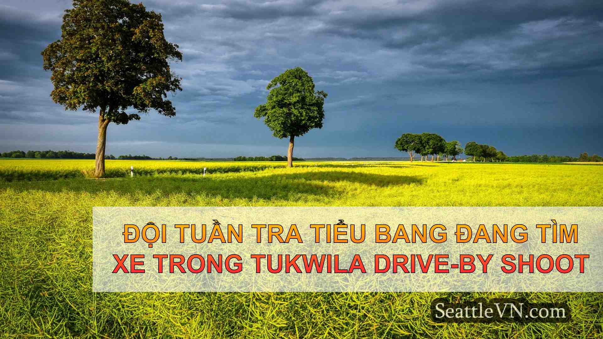 tin tức seattle SeattleVN