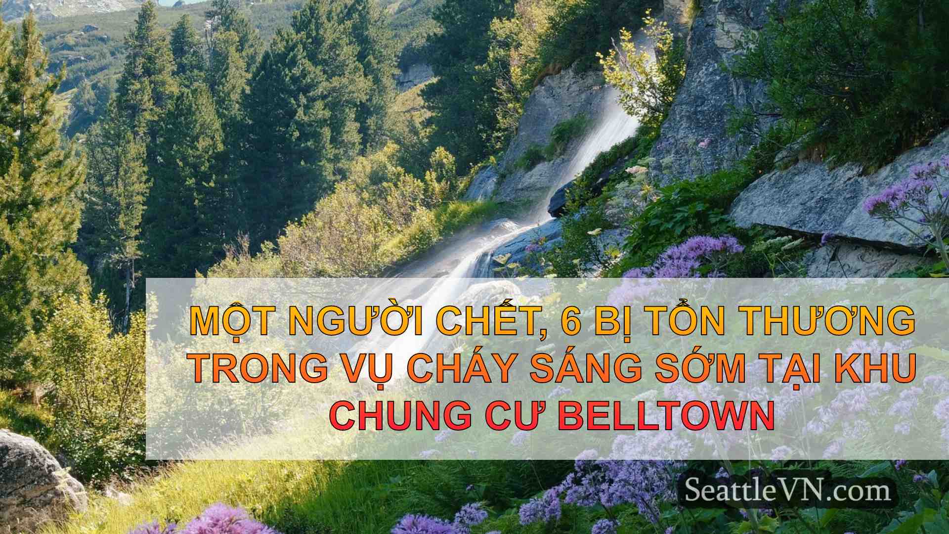 tin tức seattle SeattleVN
