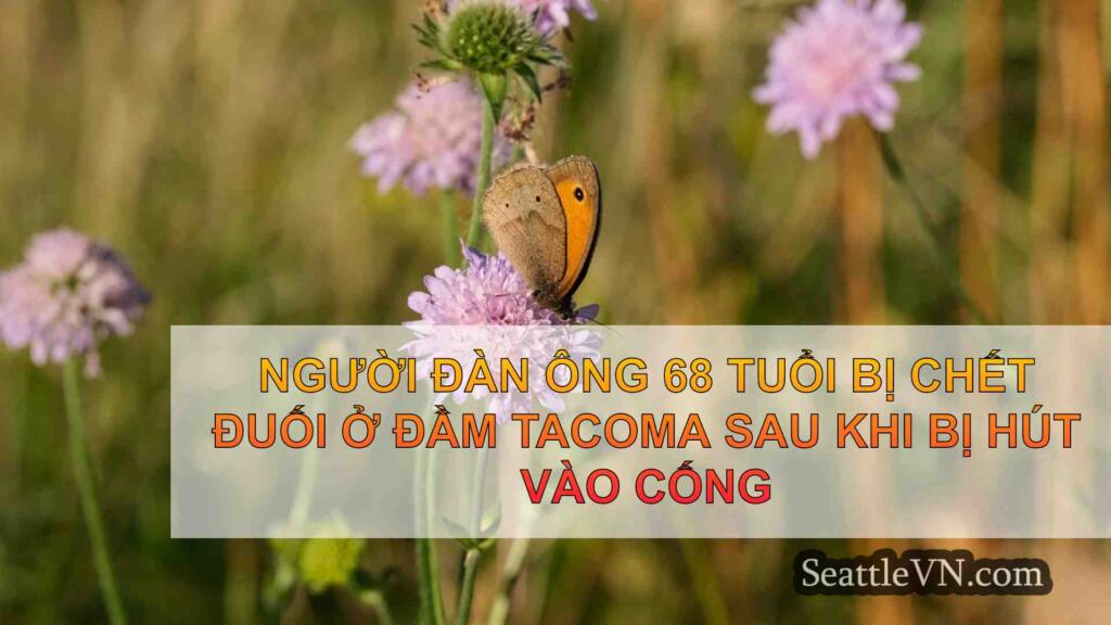 Người đàn ông 68 tuổi chết đuối ở đầm