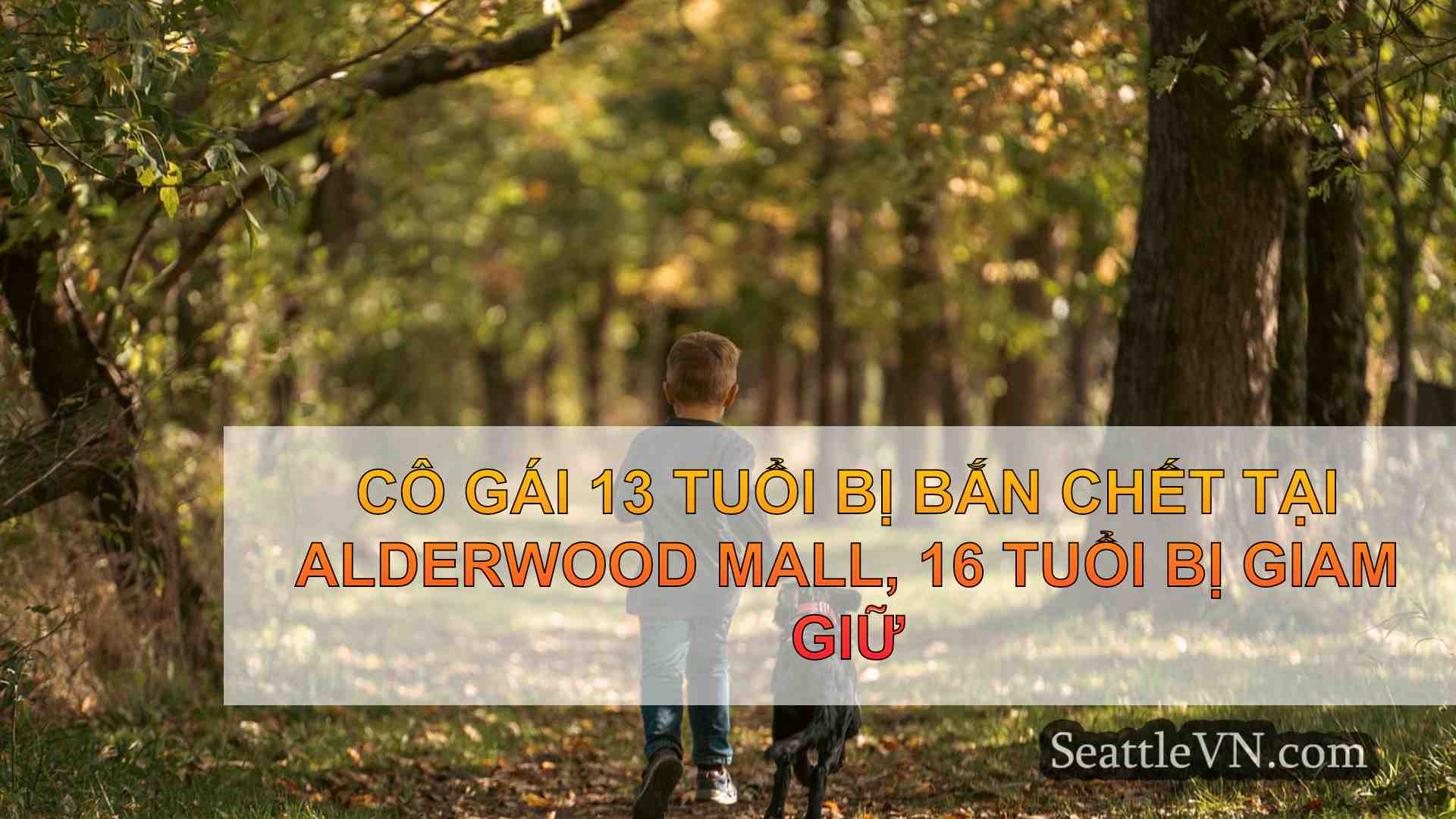 tin tức seattle SeattleVN
