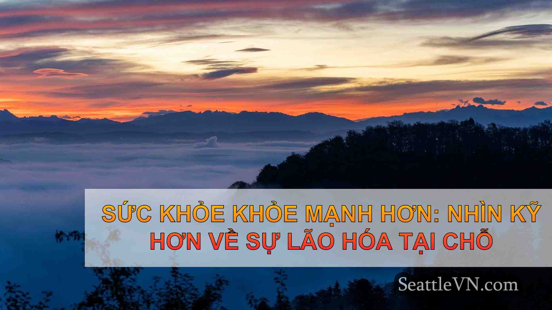 Sức khỏe khỏe mạnh hơn: Nhìn kỹ hơn về