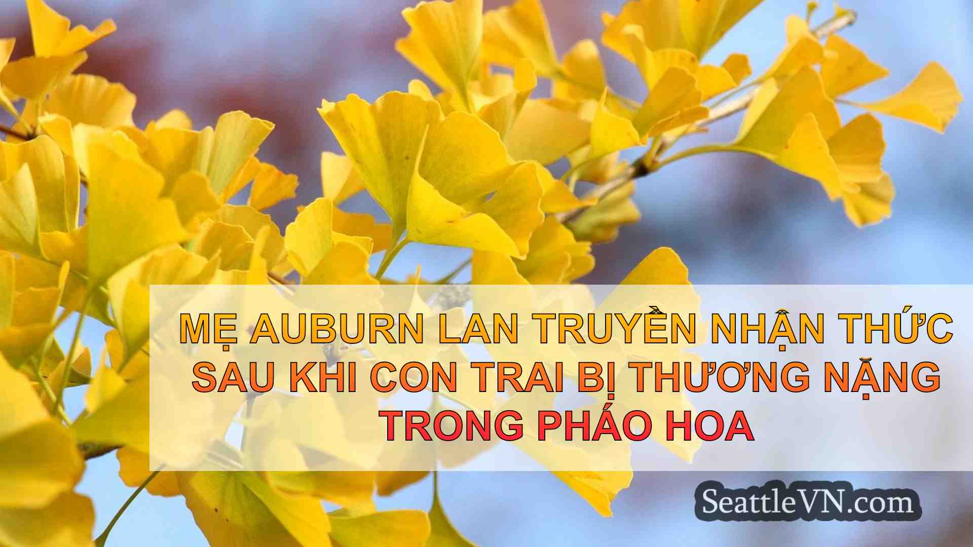Mẹ Auburn lan truyền nhận thức sau khi