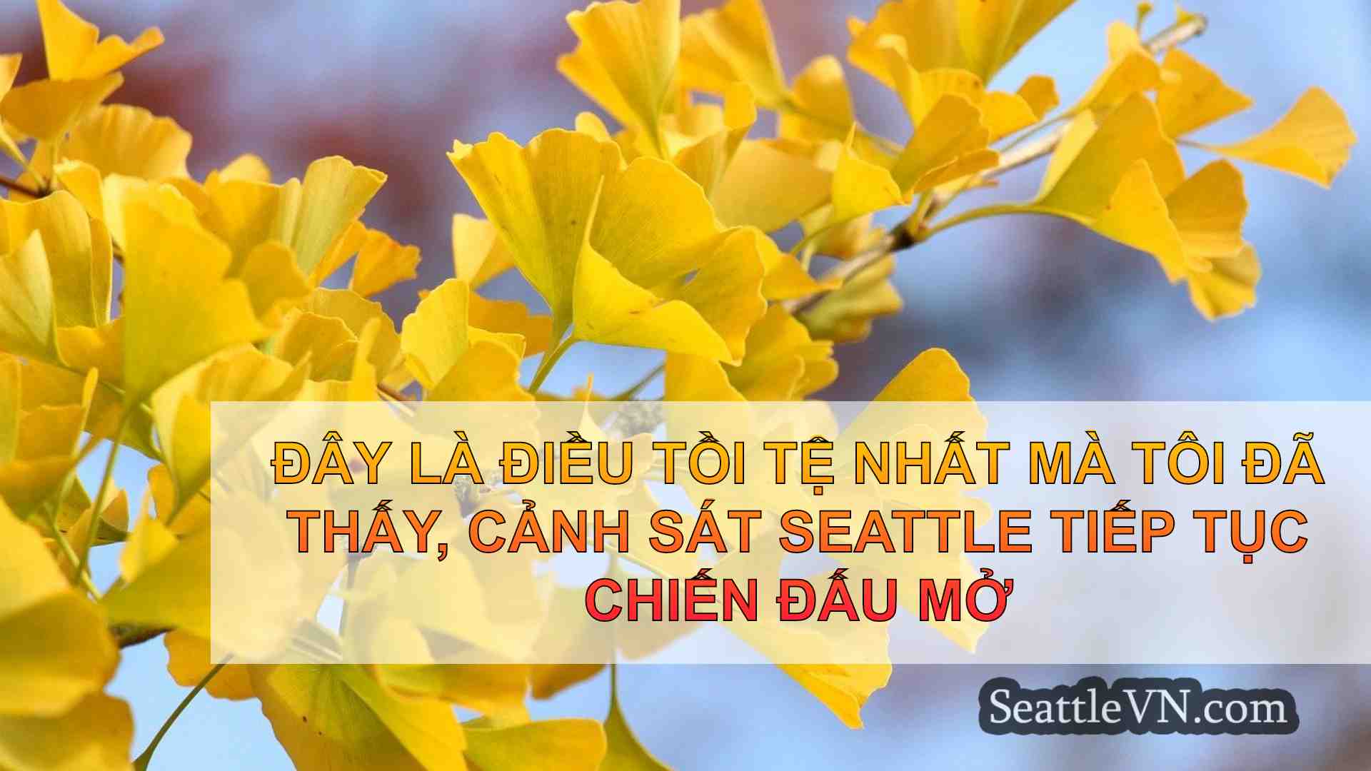 tin tức seattle SeattleVN