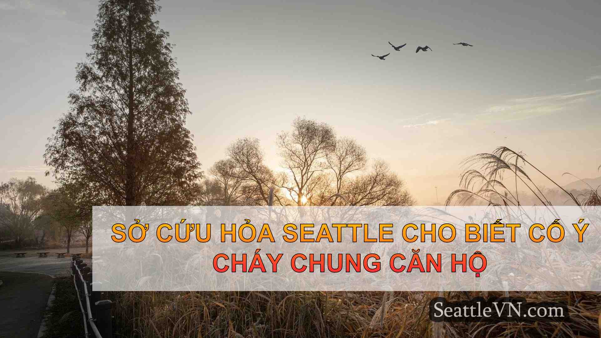 tin tức seattle SeattleVN