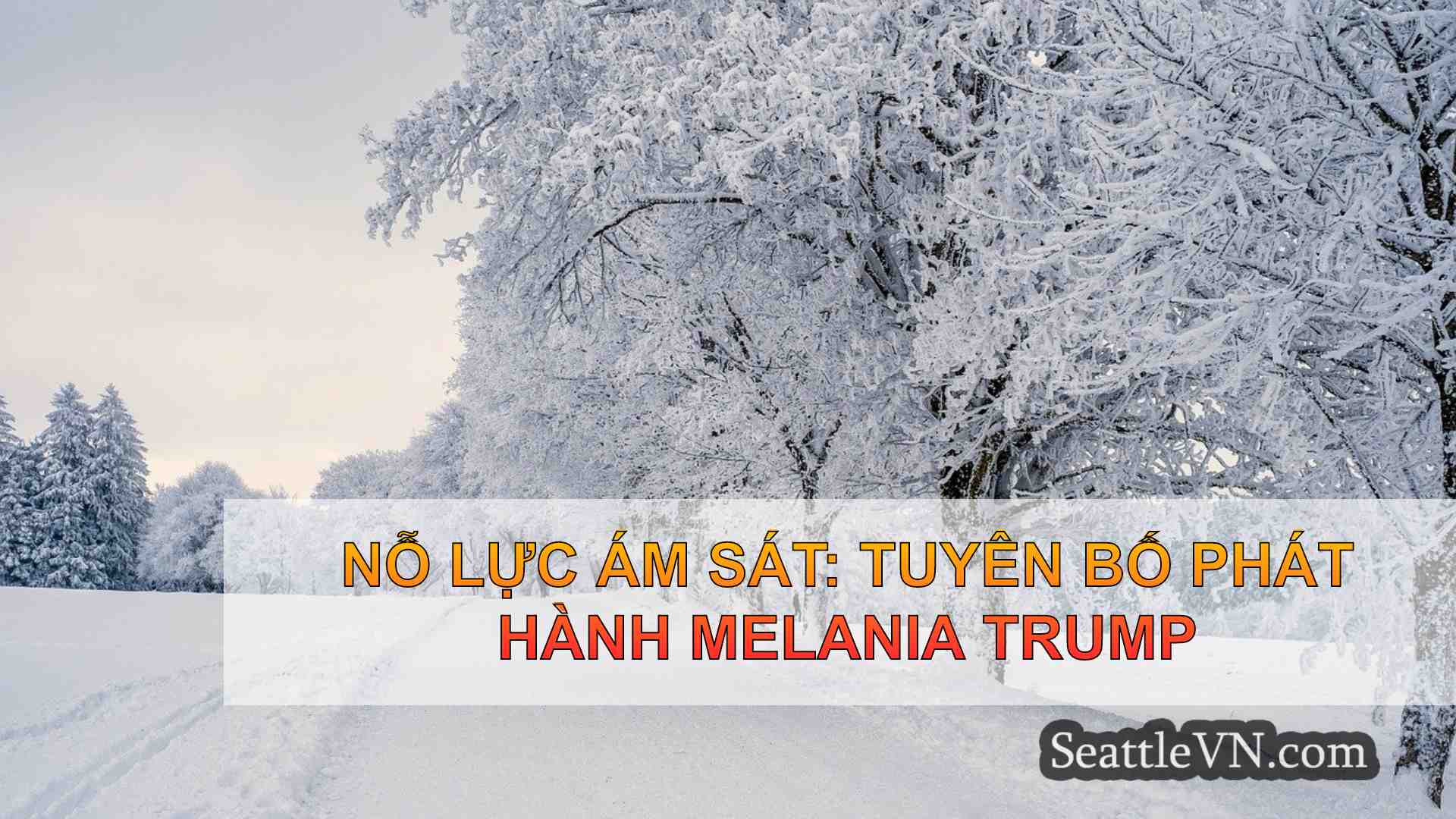 tin tức seattle SeattleVN