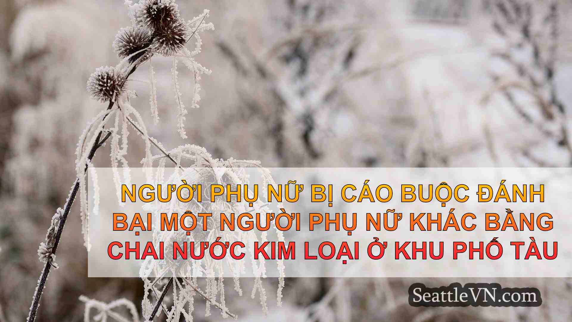 tin tức seattle SeattleVN