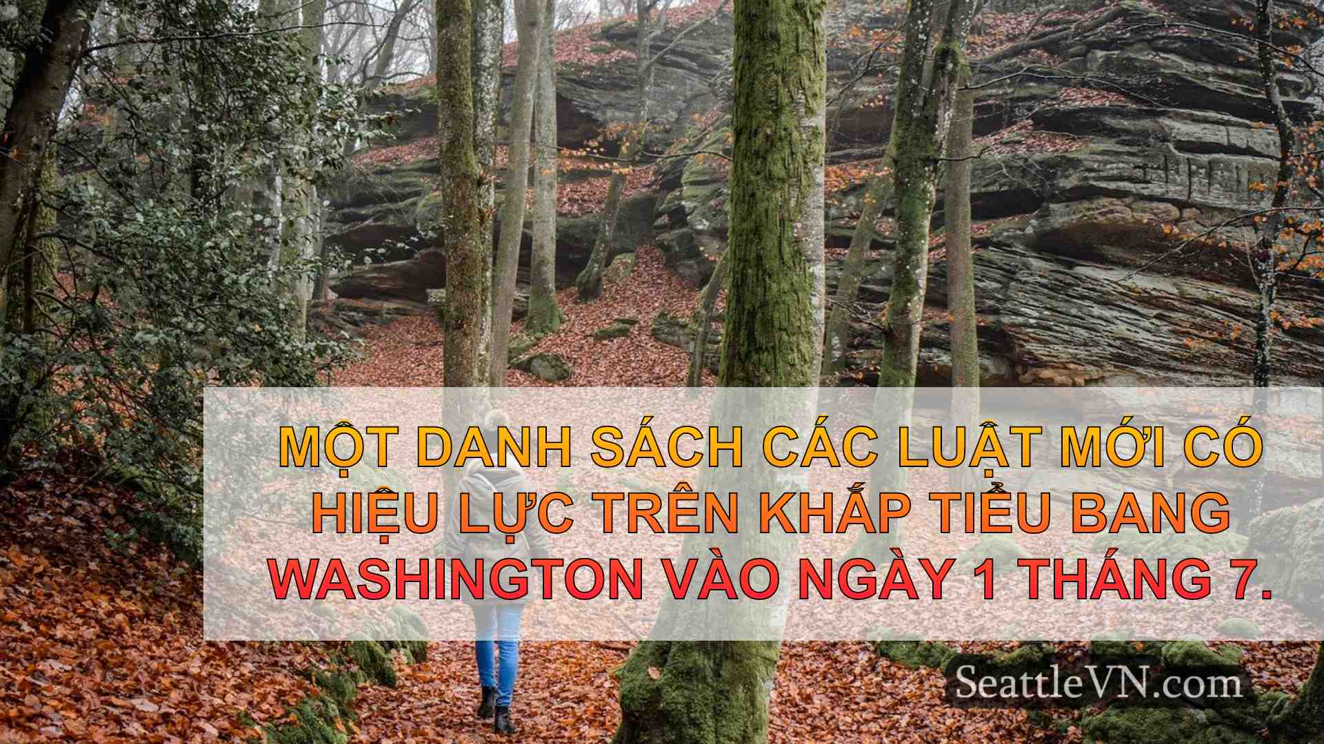 tin tức seattle SeattleVN