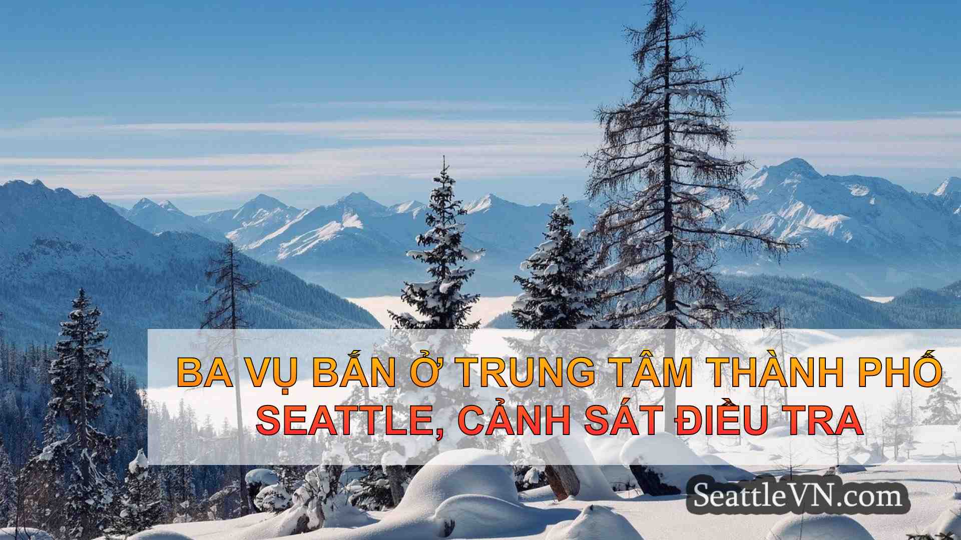 tin tức seattle SeattleVN