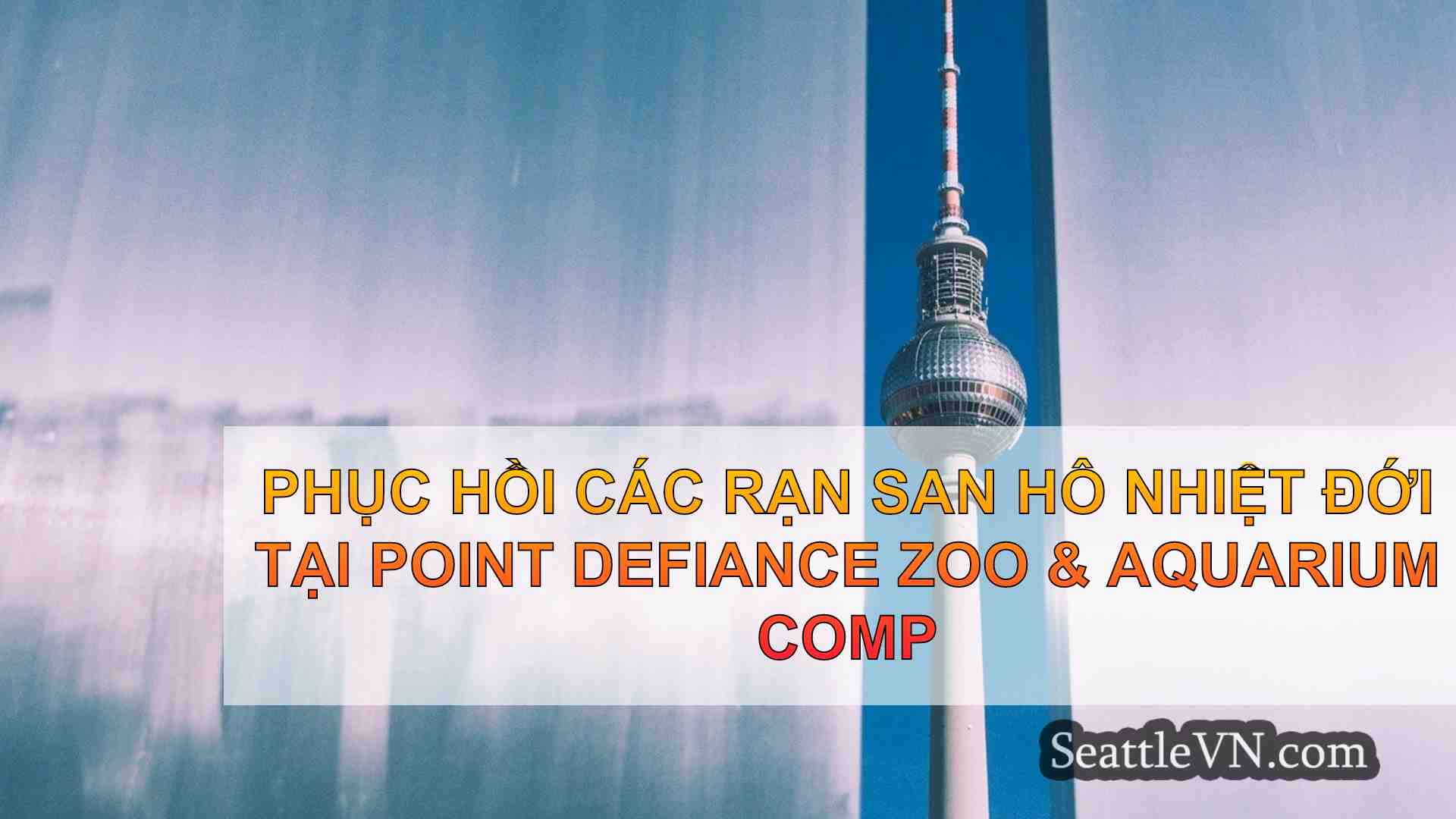 tin tức seattle SeattleVN
