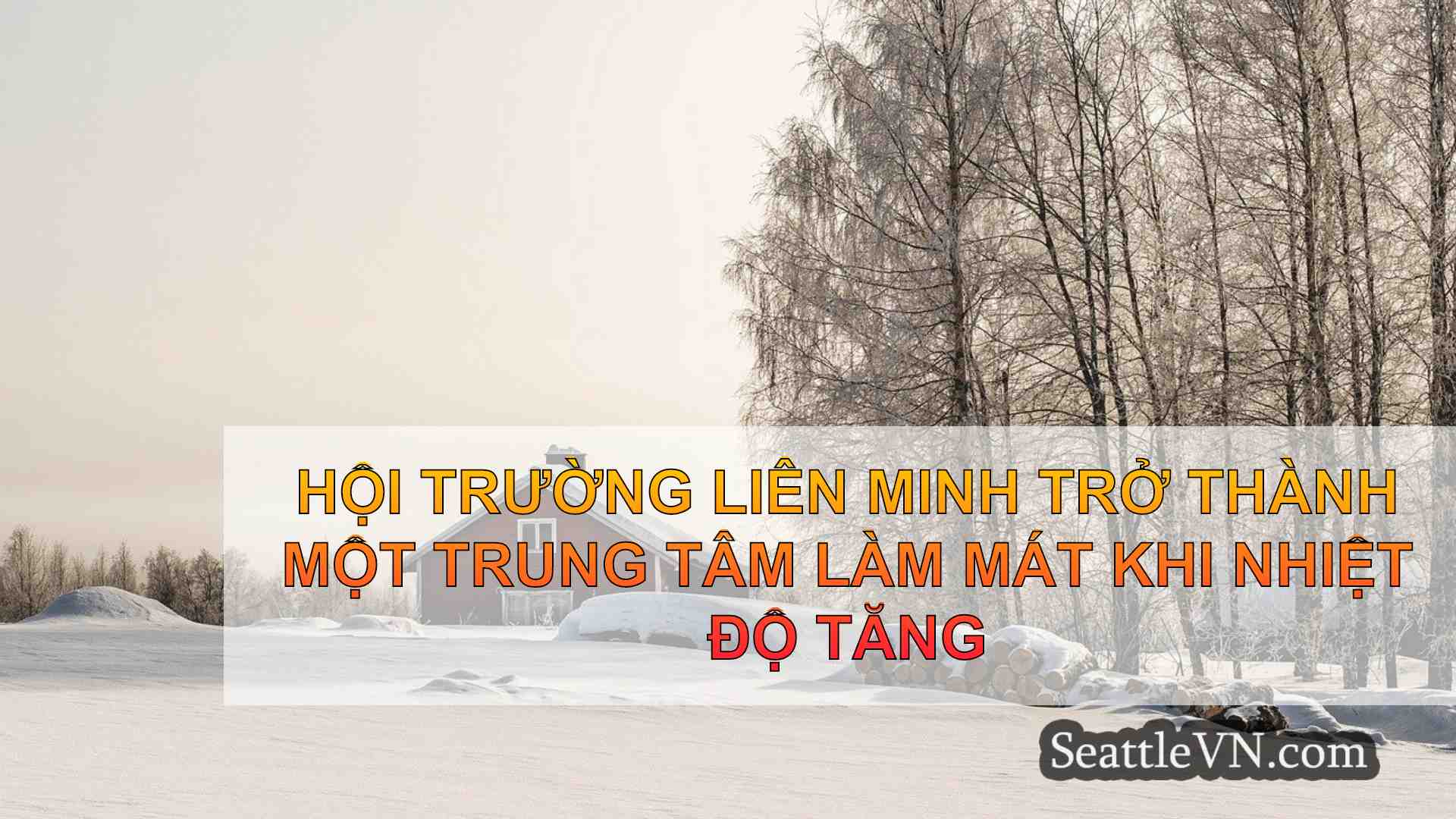 tin tức seattle SeattleVN