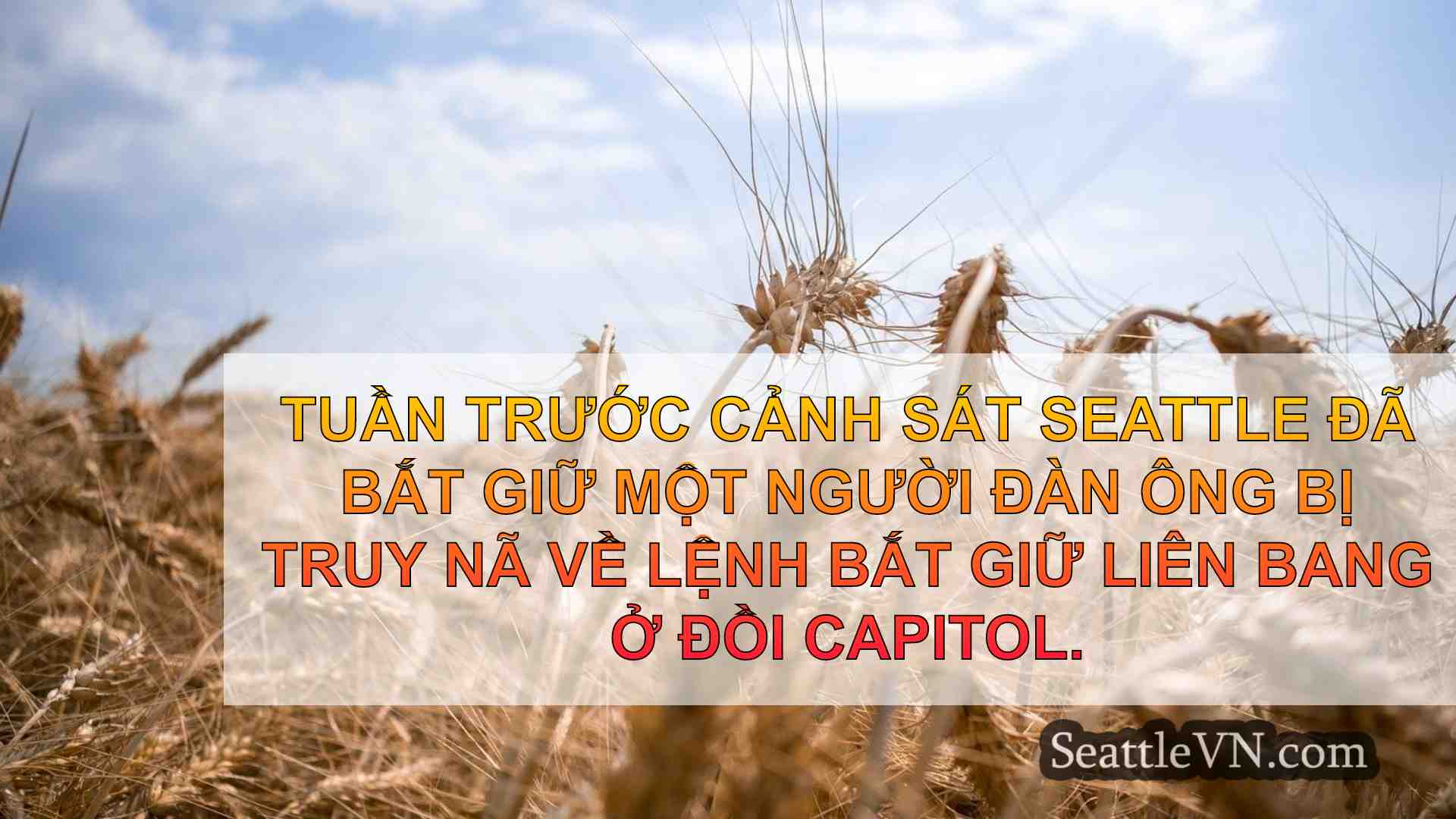 tin tức seattle SeattleVN