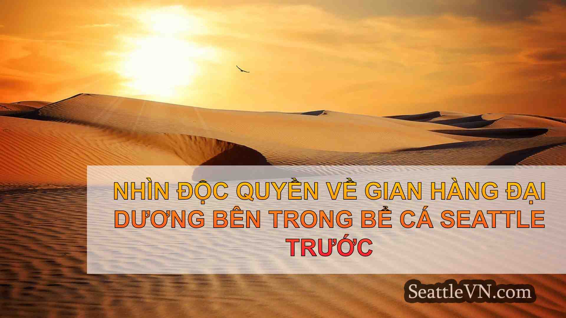 tin tức seattle SeattleVN