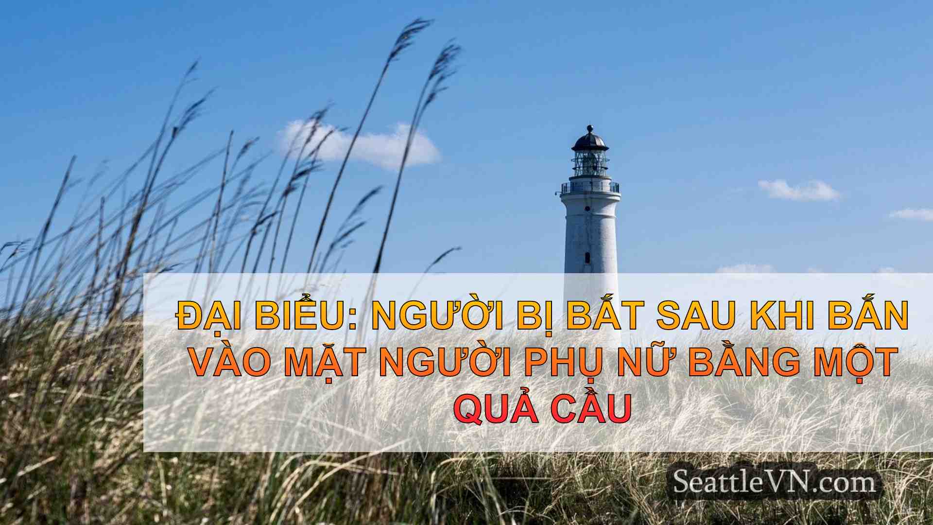 tin tức seattle SeattleVN