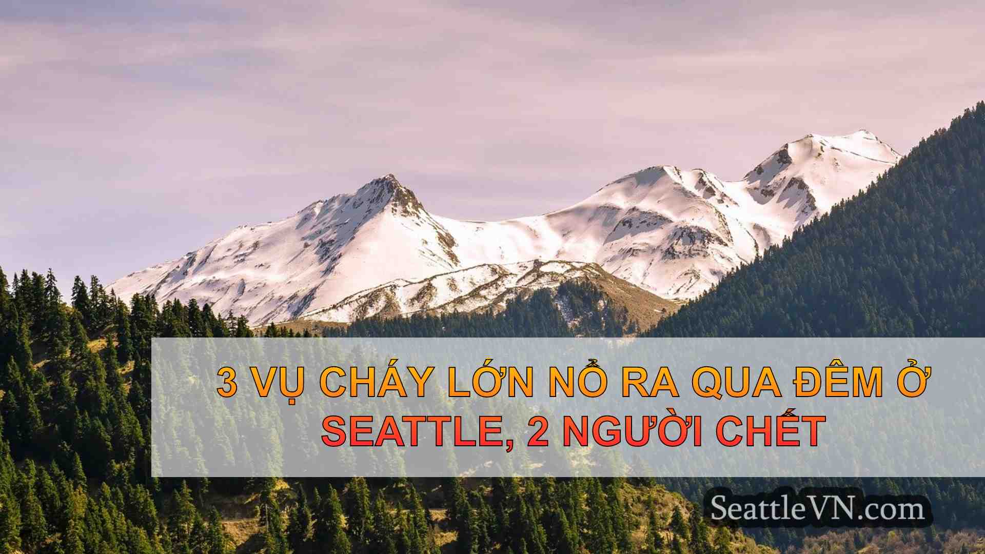 tin tức seattle SeattleVN