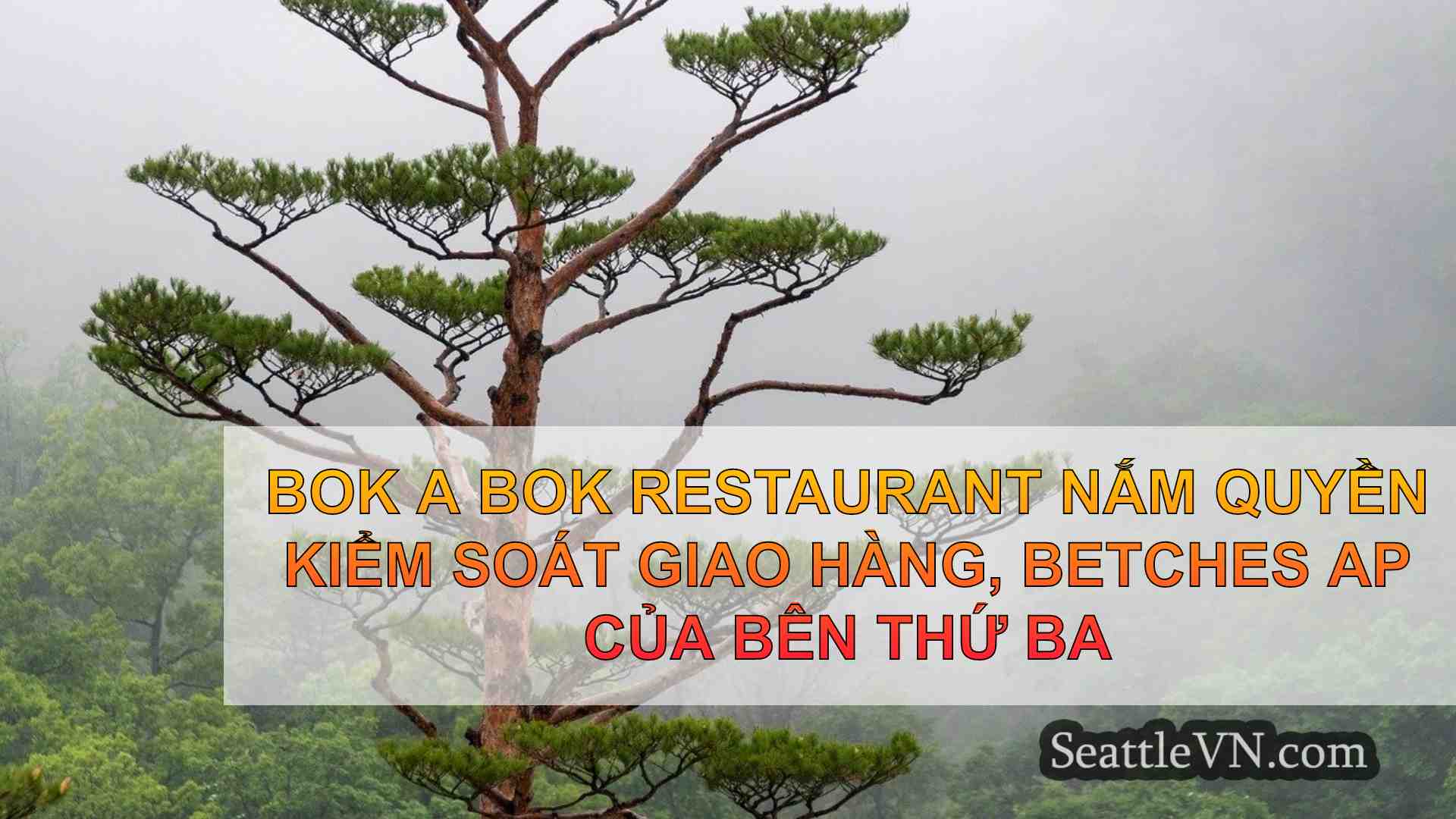 tin tức seattle SeattleVN