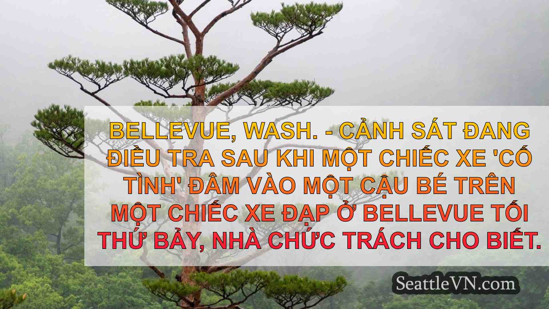 tin tức seattle SeattleVN