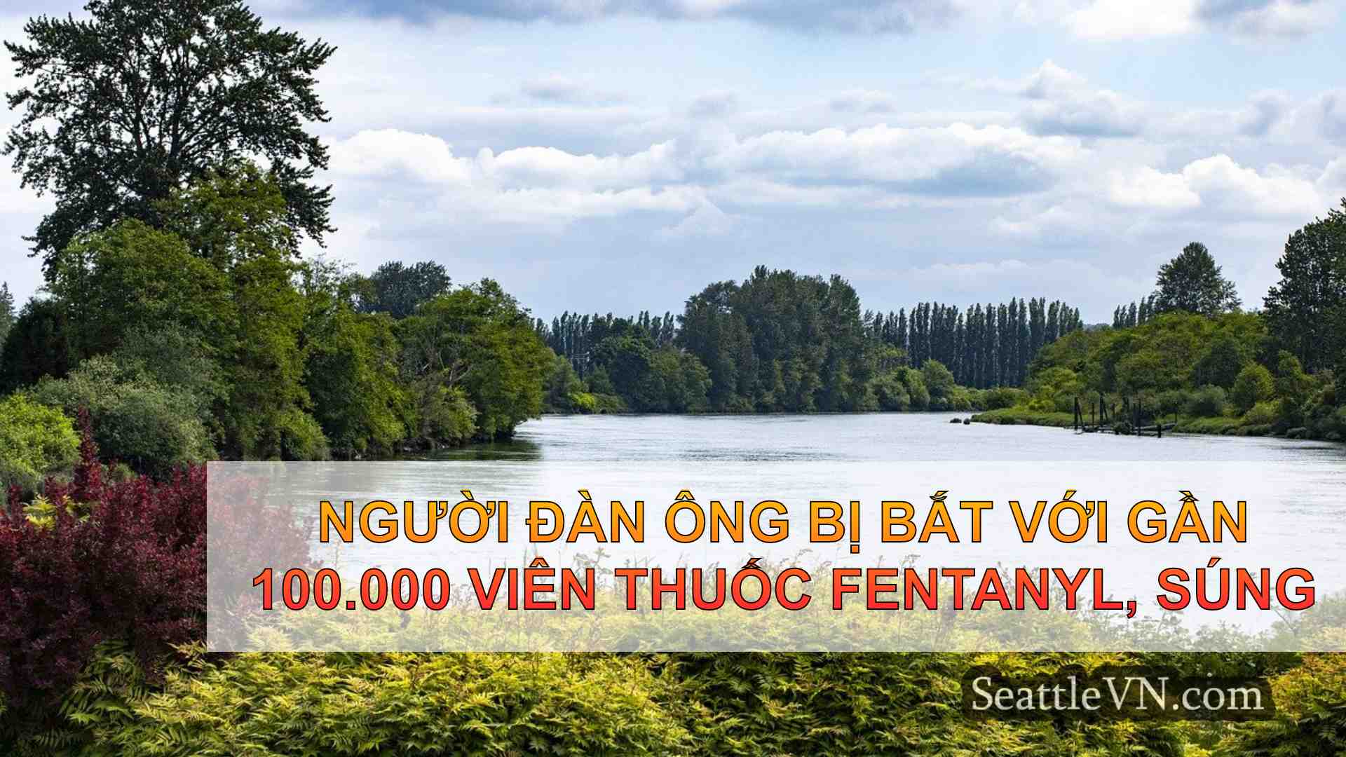 tin tức seattle SeattleVN