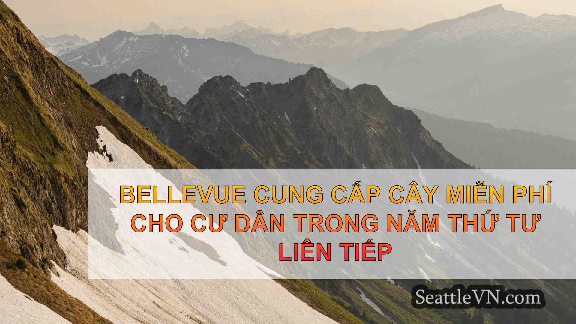 tin tức seattle SeattleVN