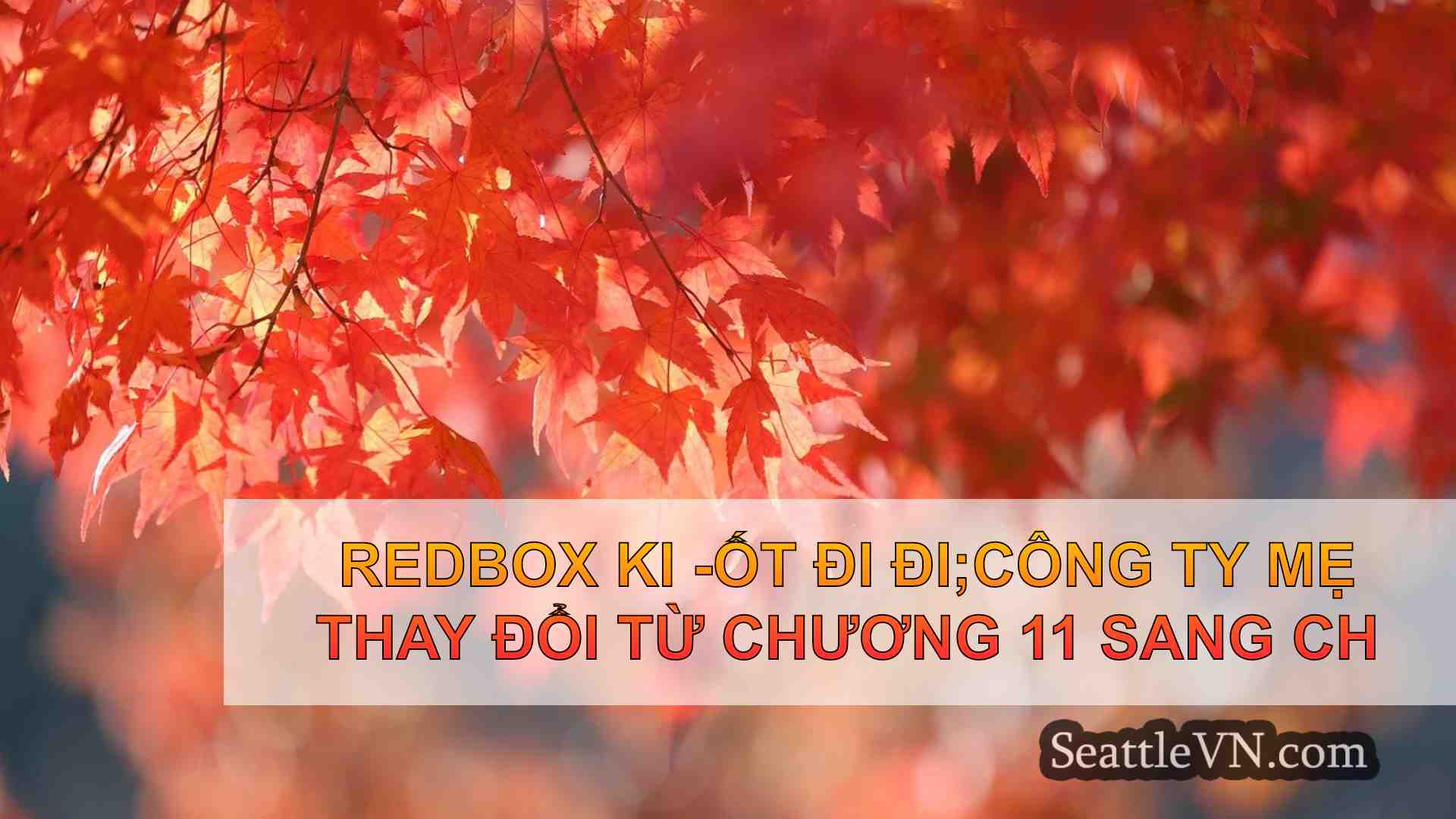 tin tức seattle SeattleVN