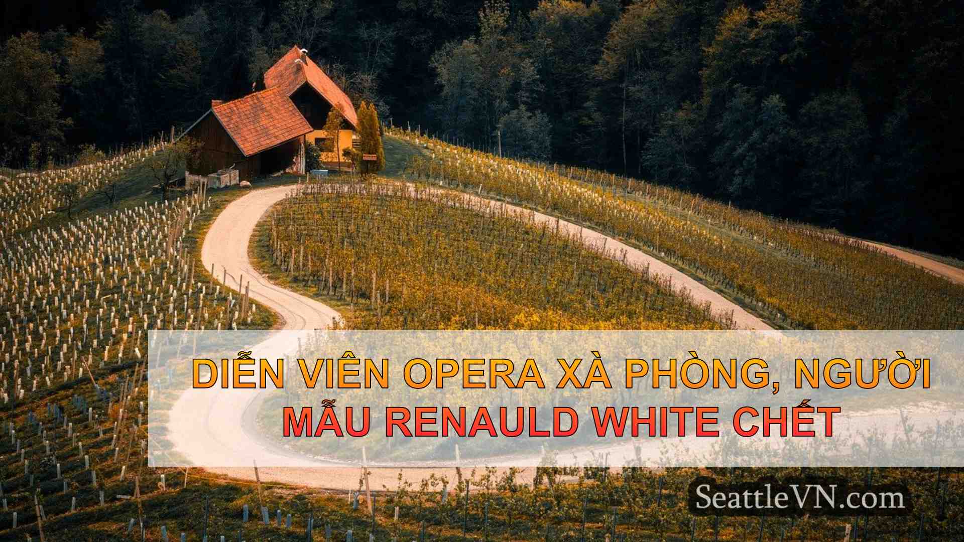 tin tức seattle SeattleVN