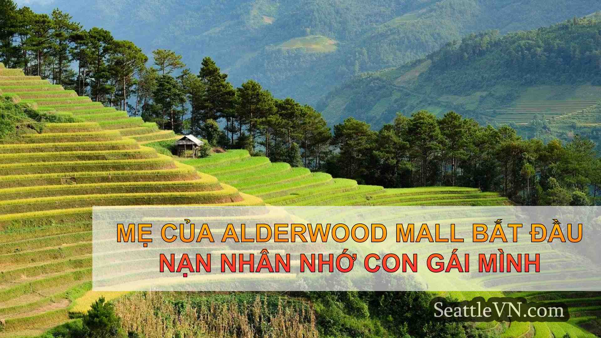 Mẹ của ALDERWOOD MALL BẮT ĐẦU Nạn nhân