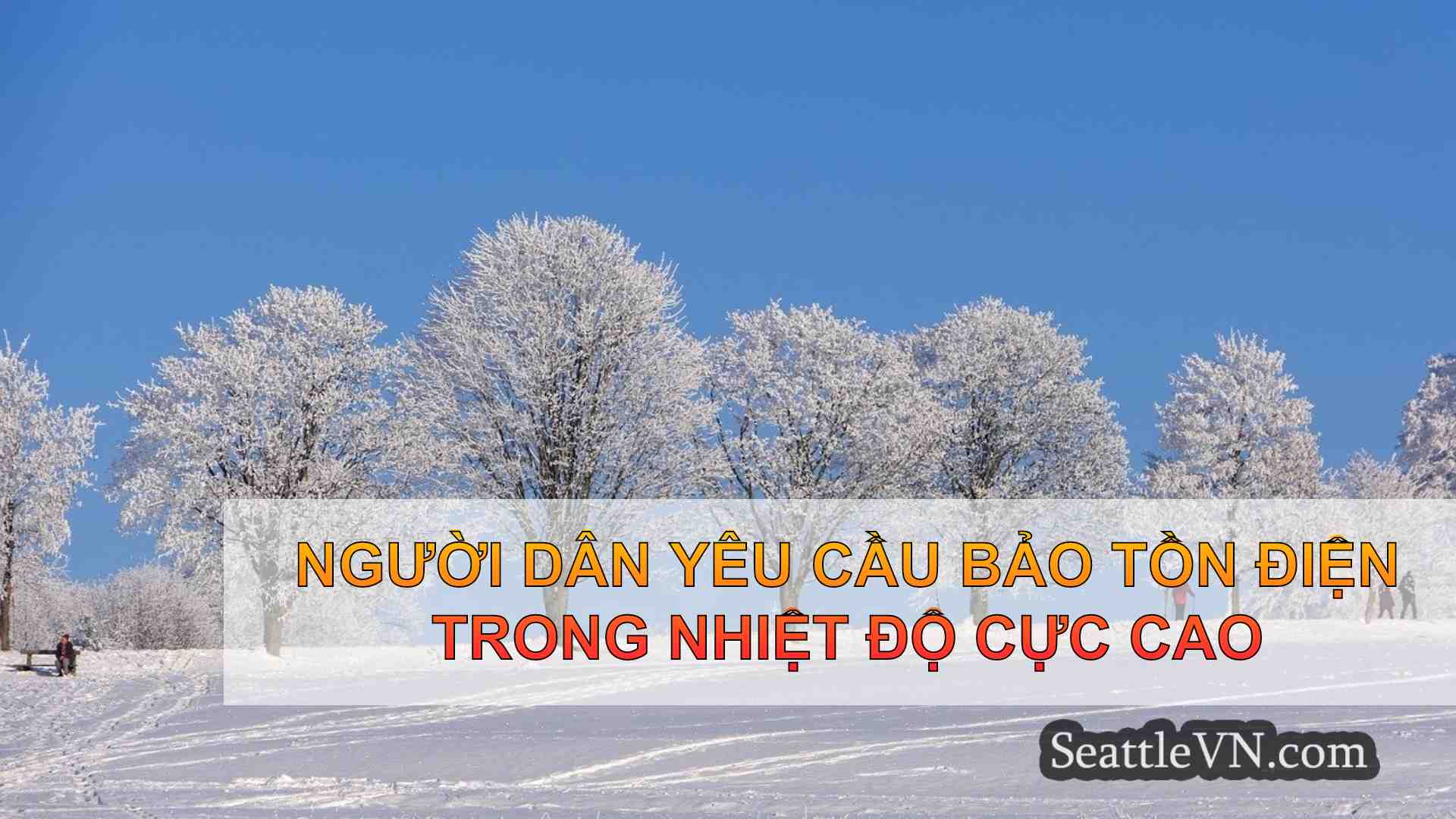 tin tức seattle SeattleVN