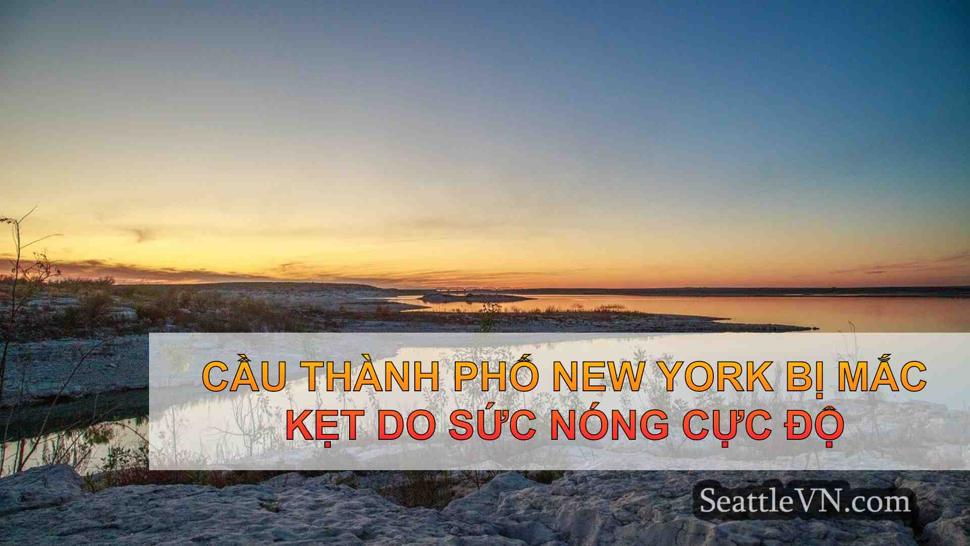 tin tức seattle SeattleVN