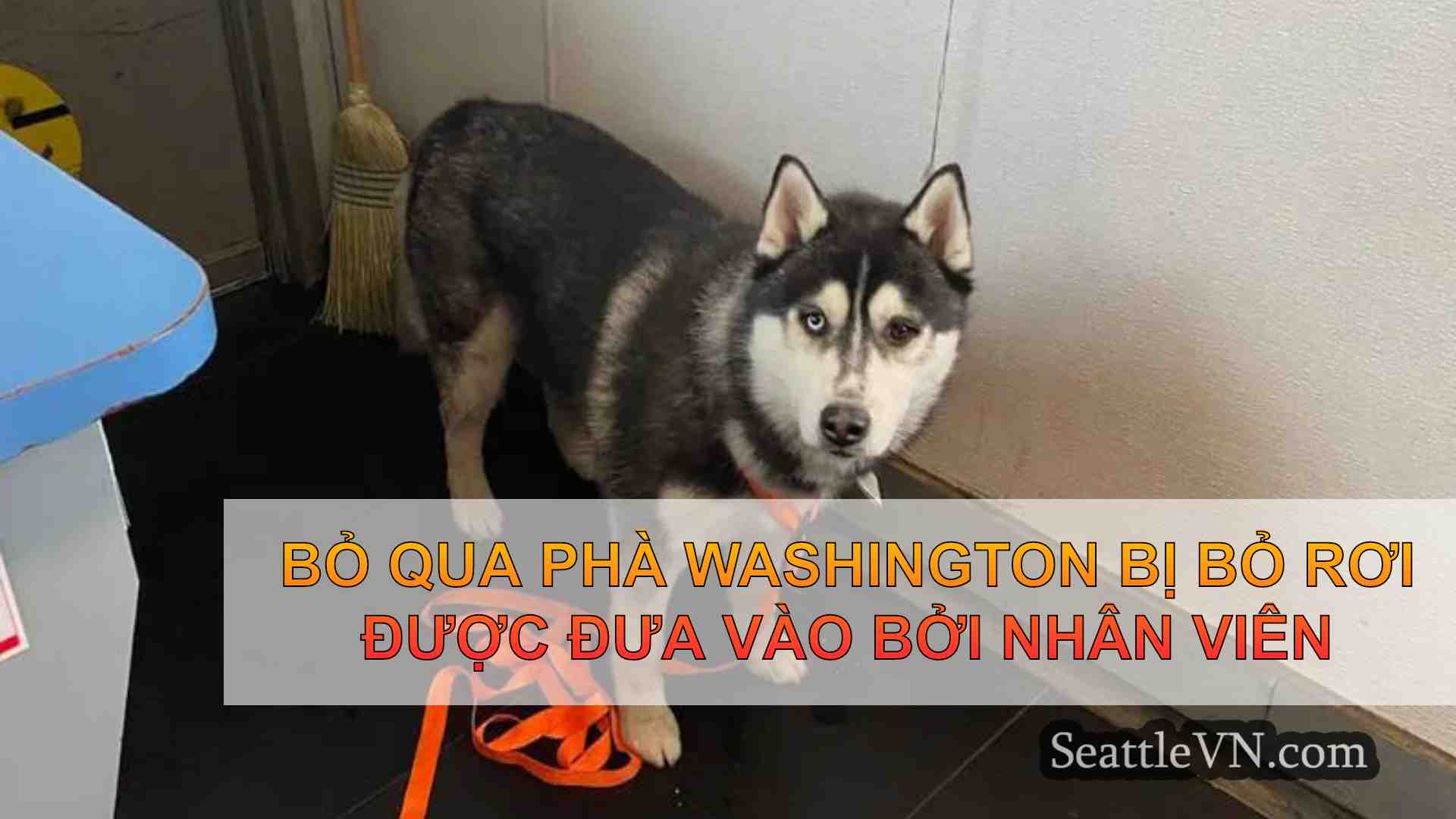 tin tức seattle SeattleVN