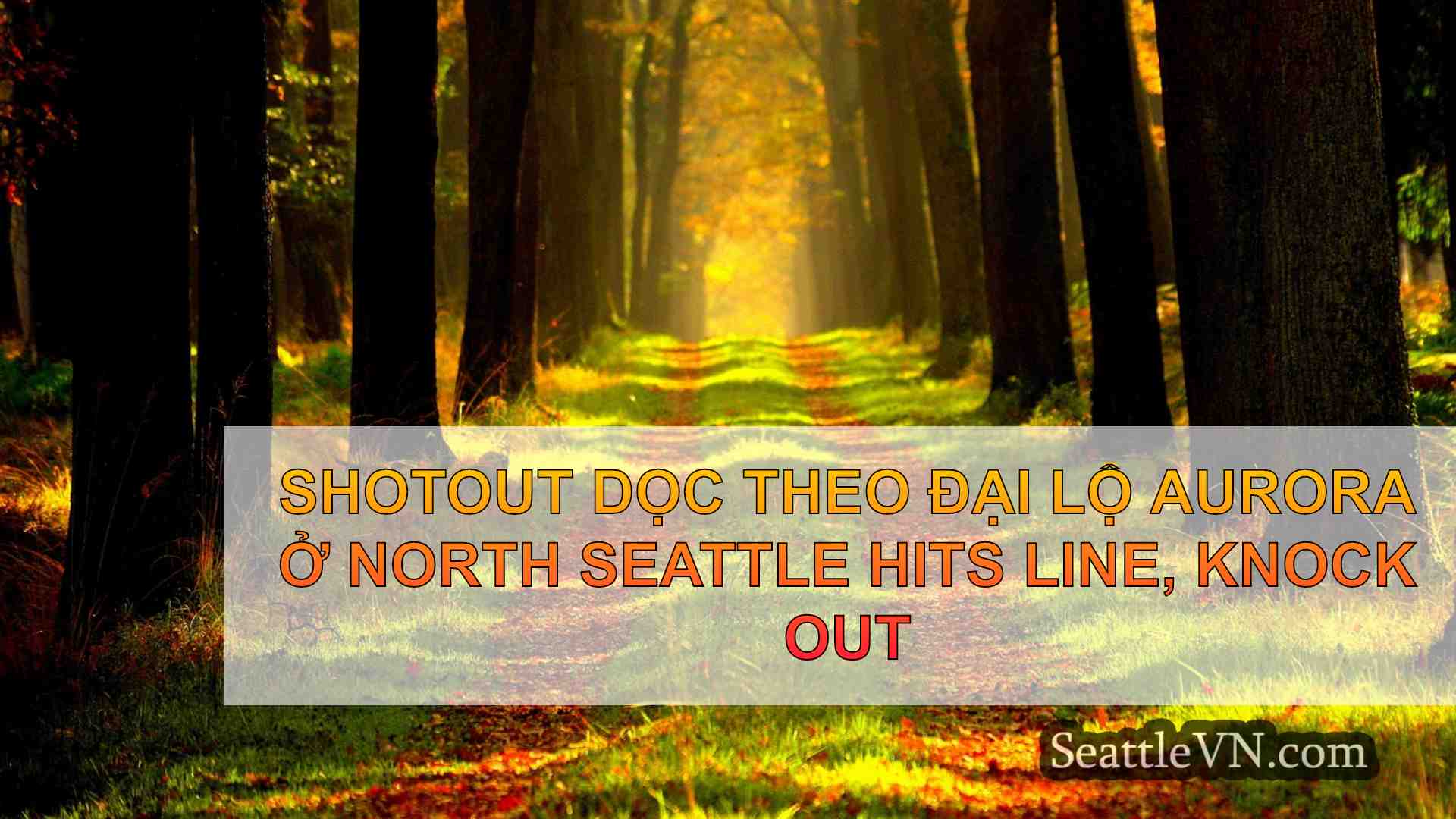 tin tức seattle SeattleVN