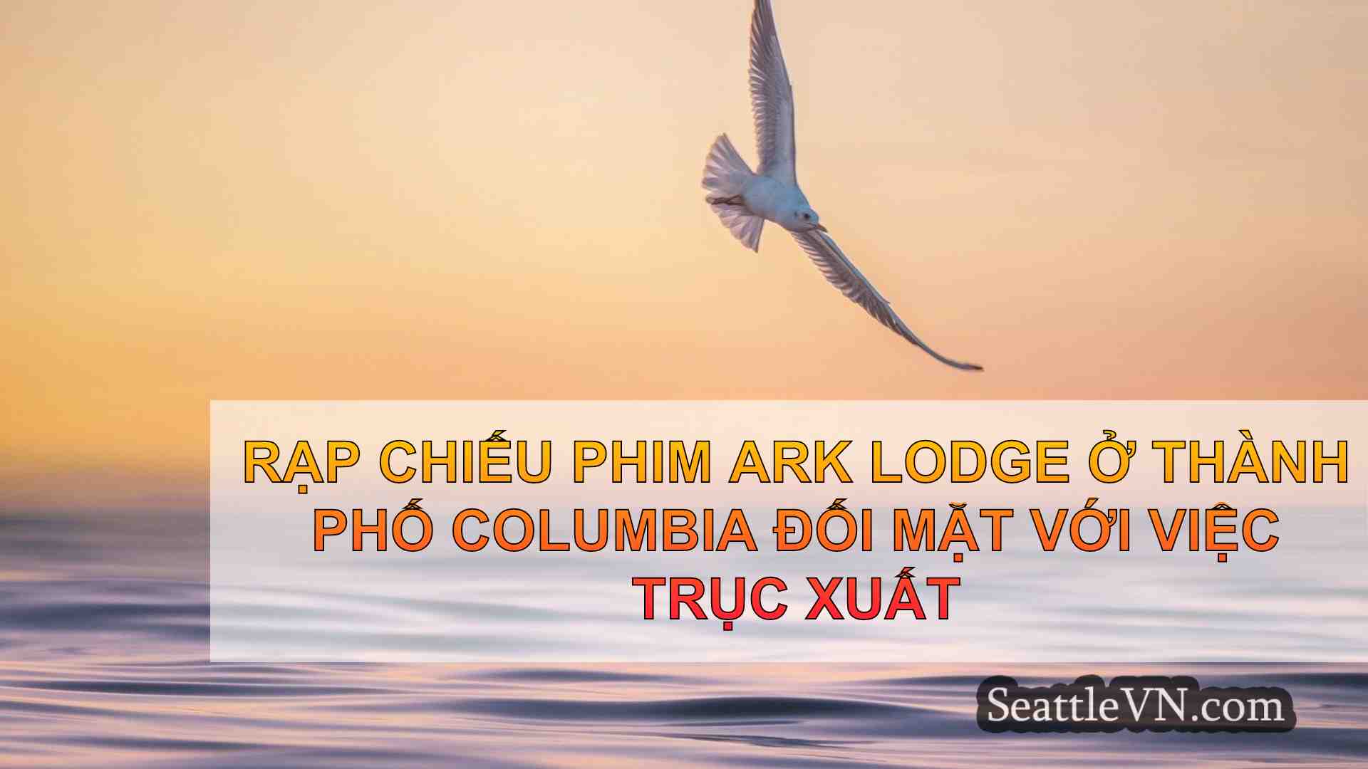 tin tức seattle SeattleVN