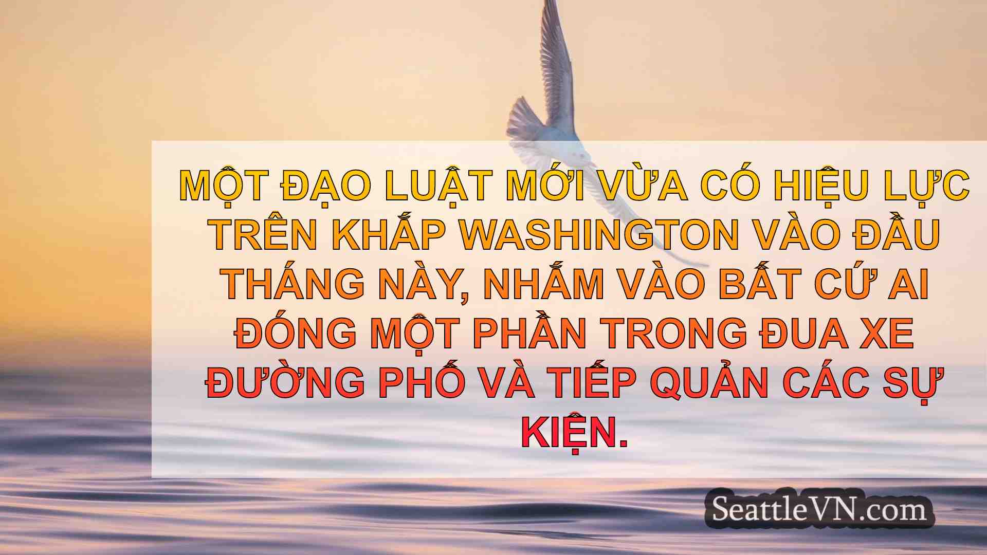 Hội đồng thành phố Seattle để bỏ phiếu