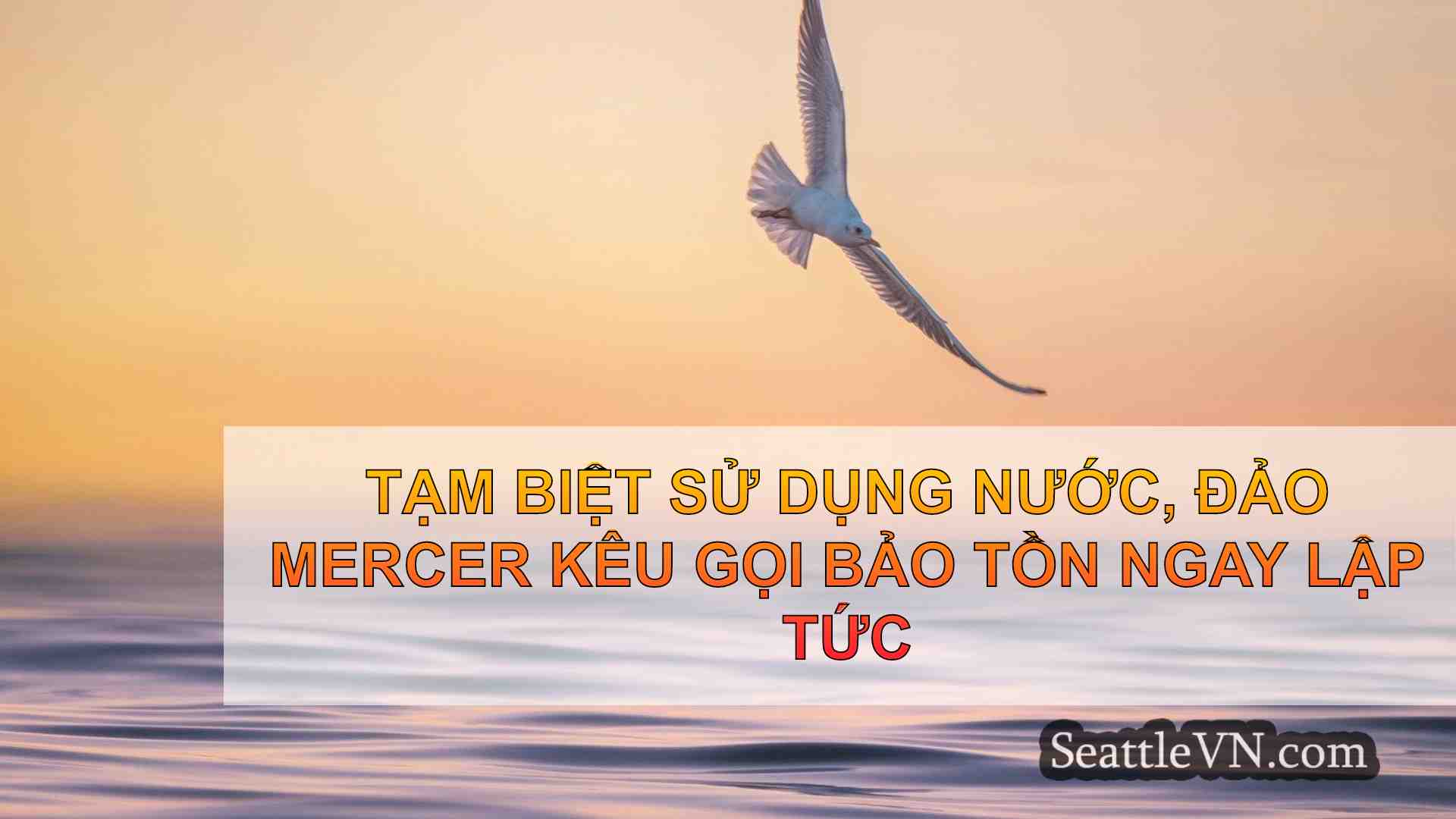 tin tức seattle SeattleVN