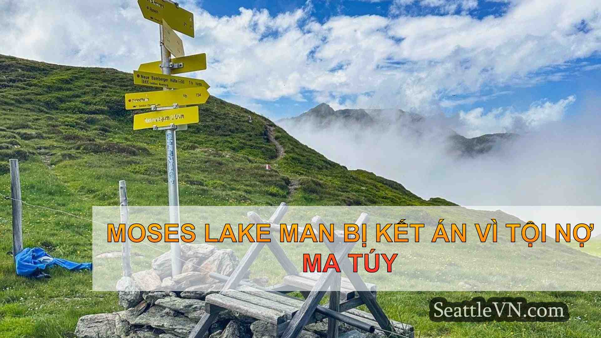 tin tức seattle SeattleVN